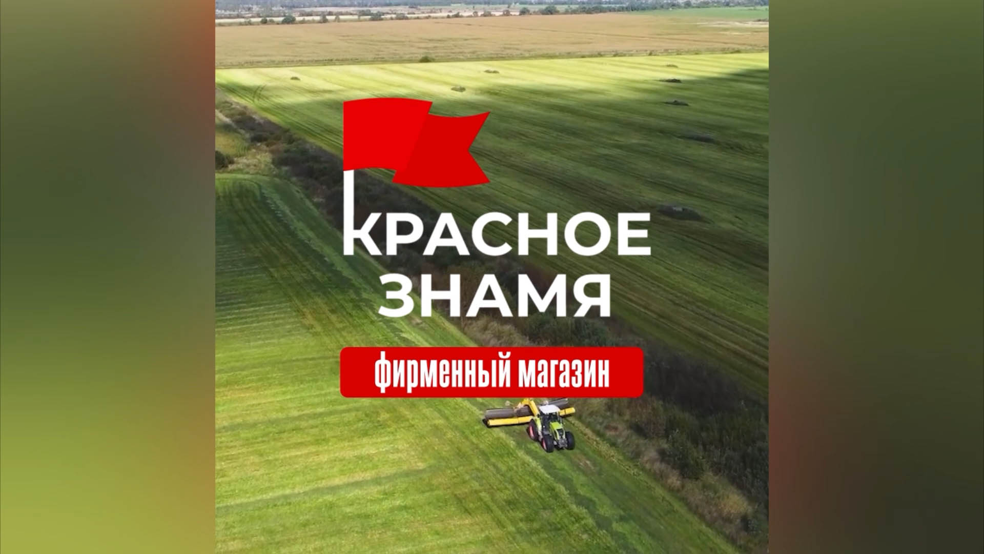 KZ copy.jpg