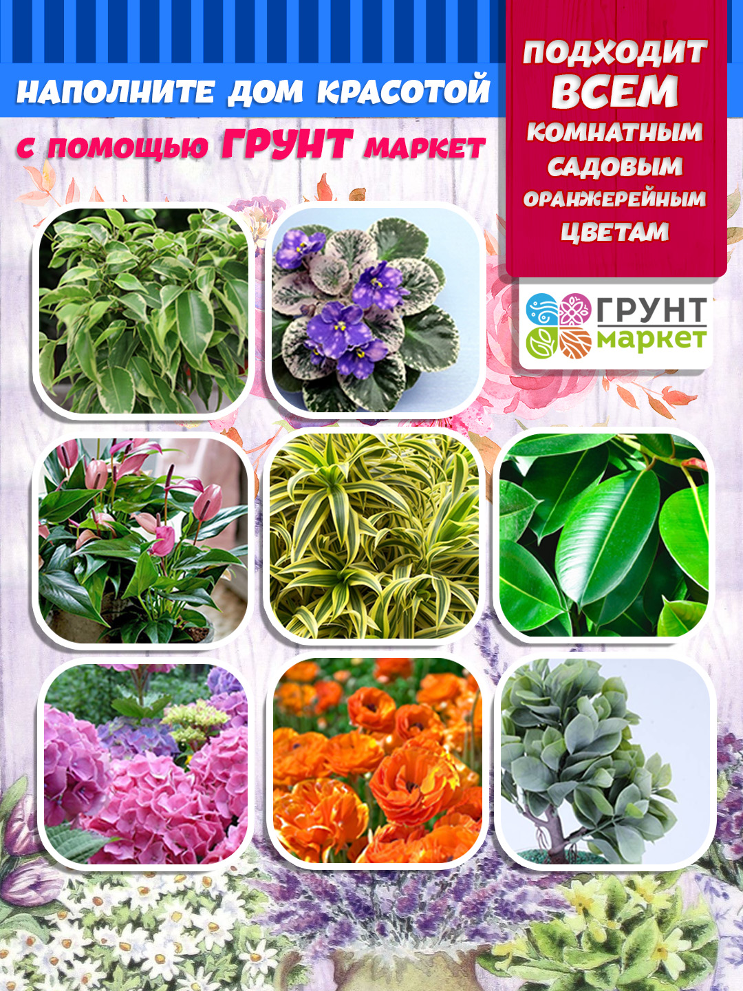 1цв_2.jpg