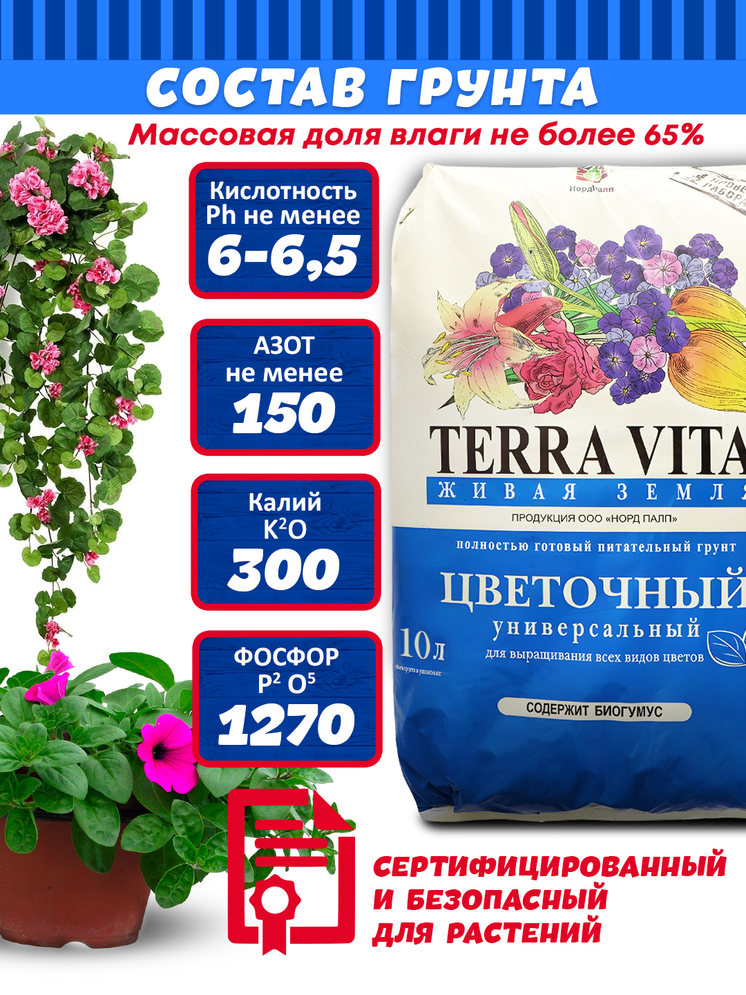 1цв_4_10.jpg