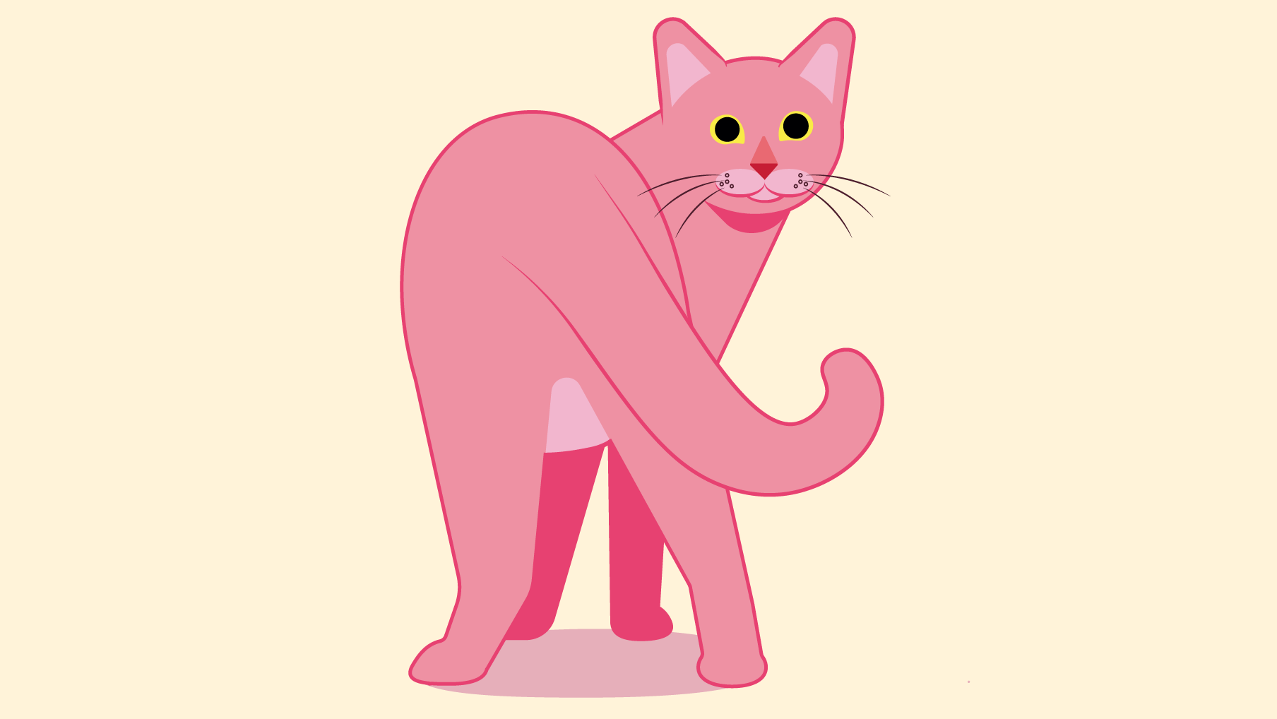 pinkcat_annavector.png