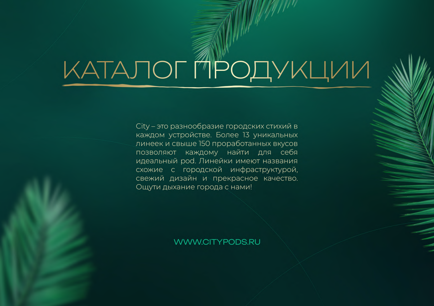 Каталог продукции бренда City