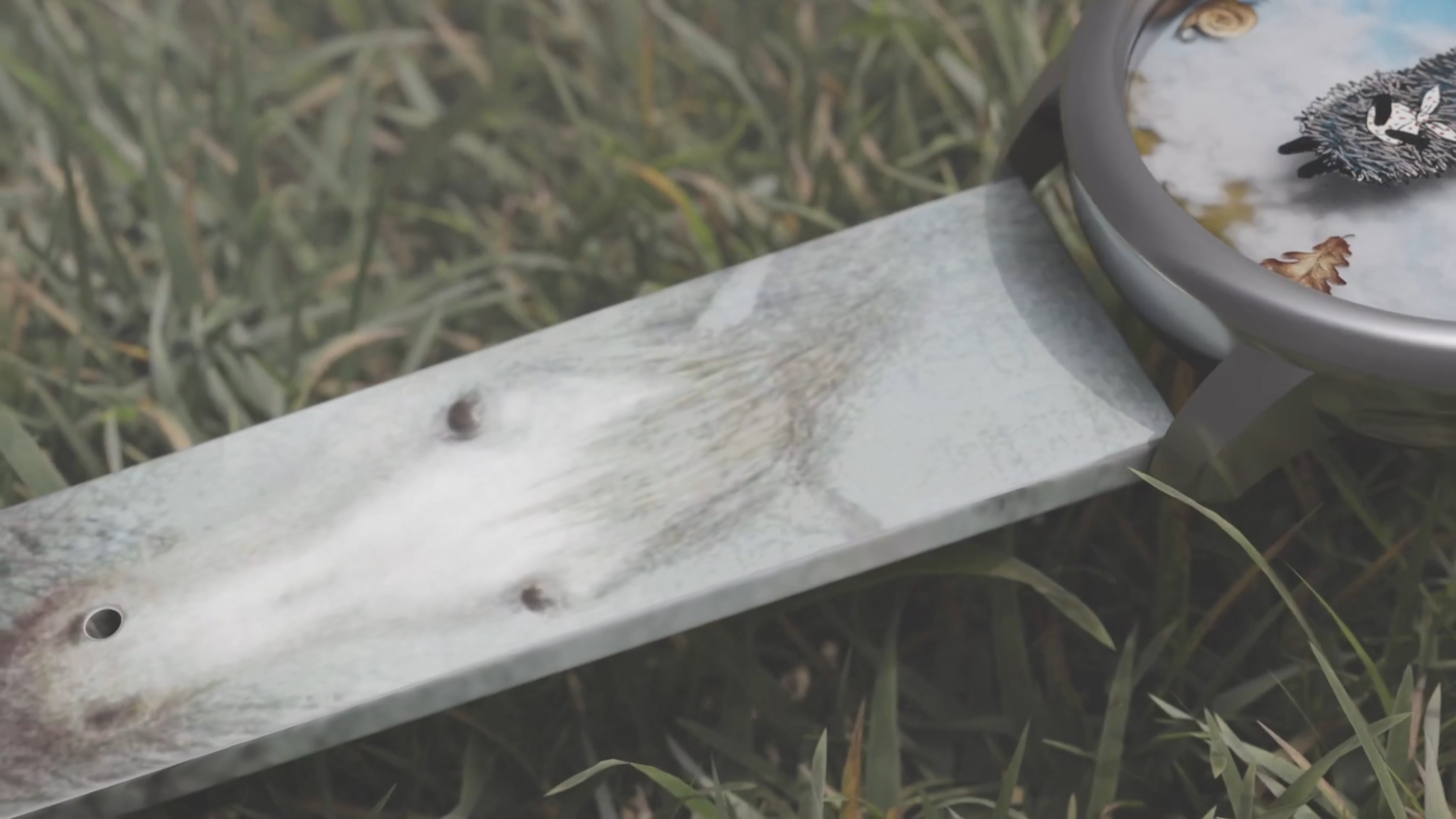 2025-08-18 (19).jpeg