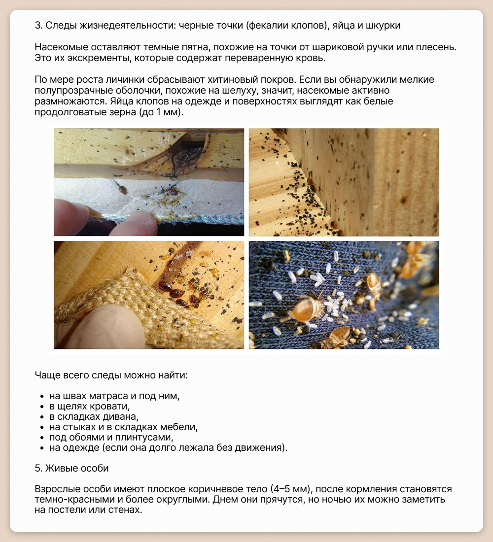 Статья клопы 3.jpg
