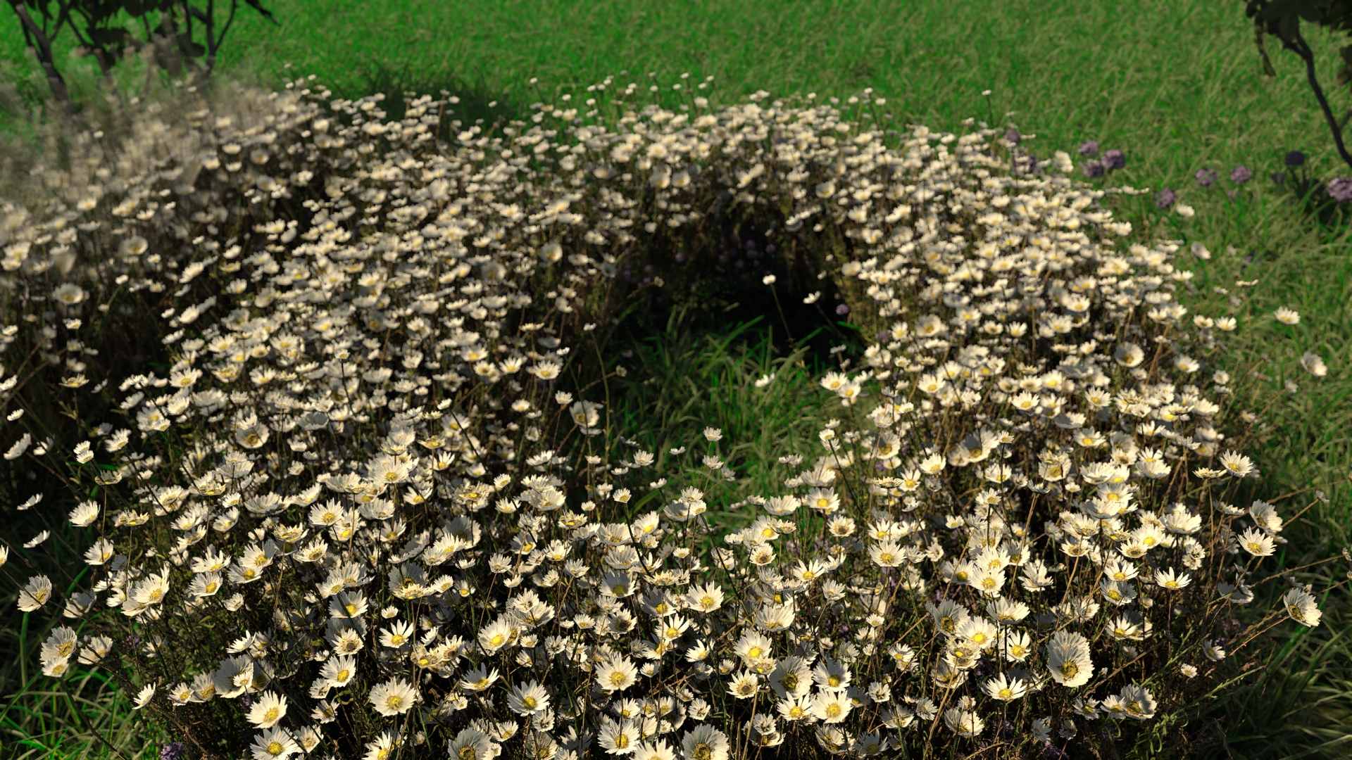 Bloom.0051.jpeg