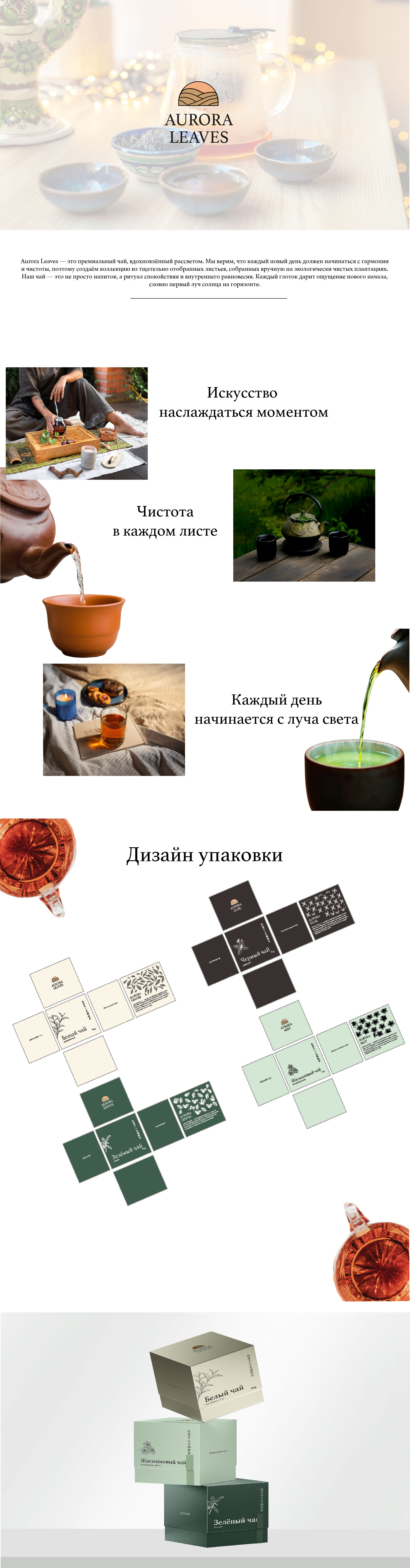презентация упаковки для чая.jpg
