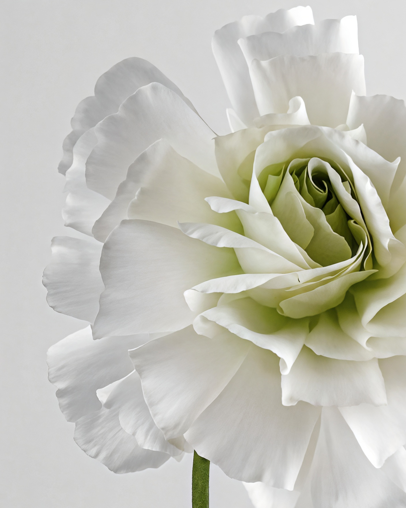 Airbrush-Image-Enhancer (2789).jpg