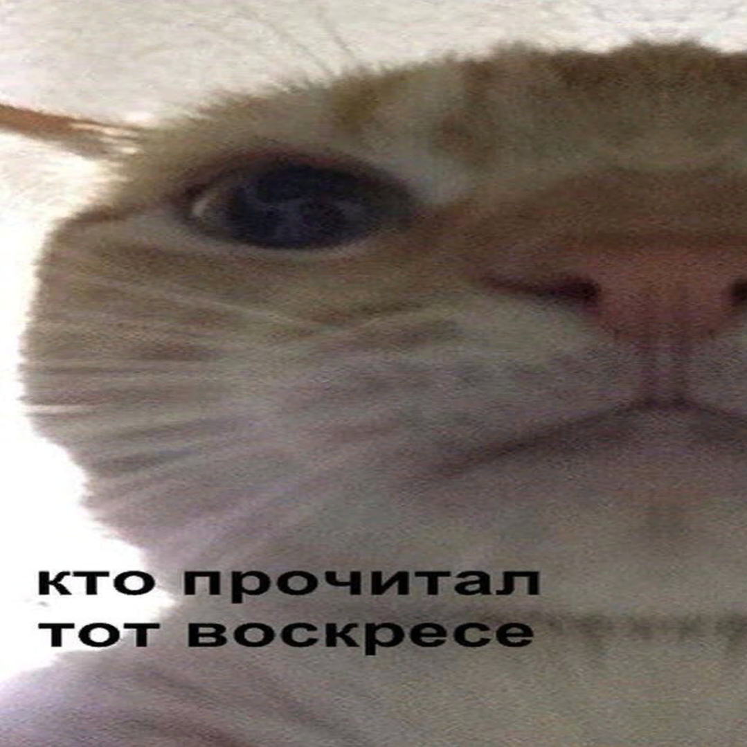 мем2.jpg