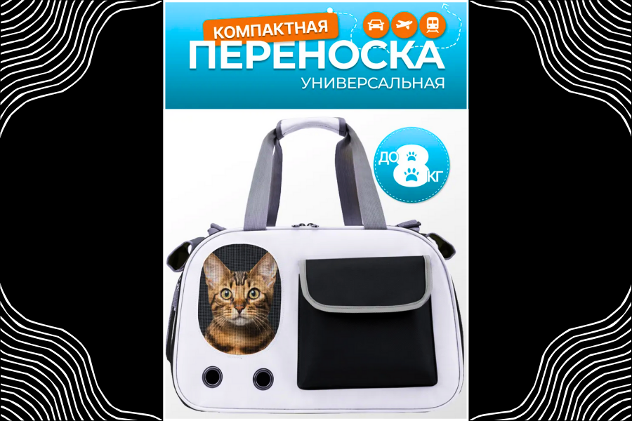 Инфографика для компактной переноски для животных