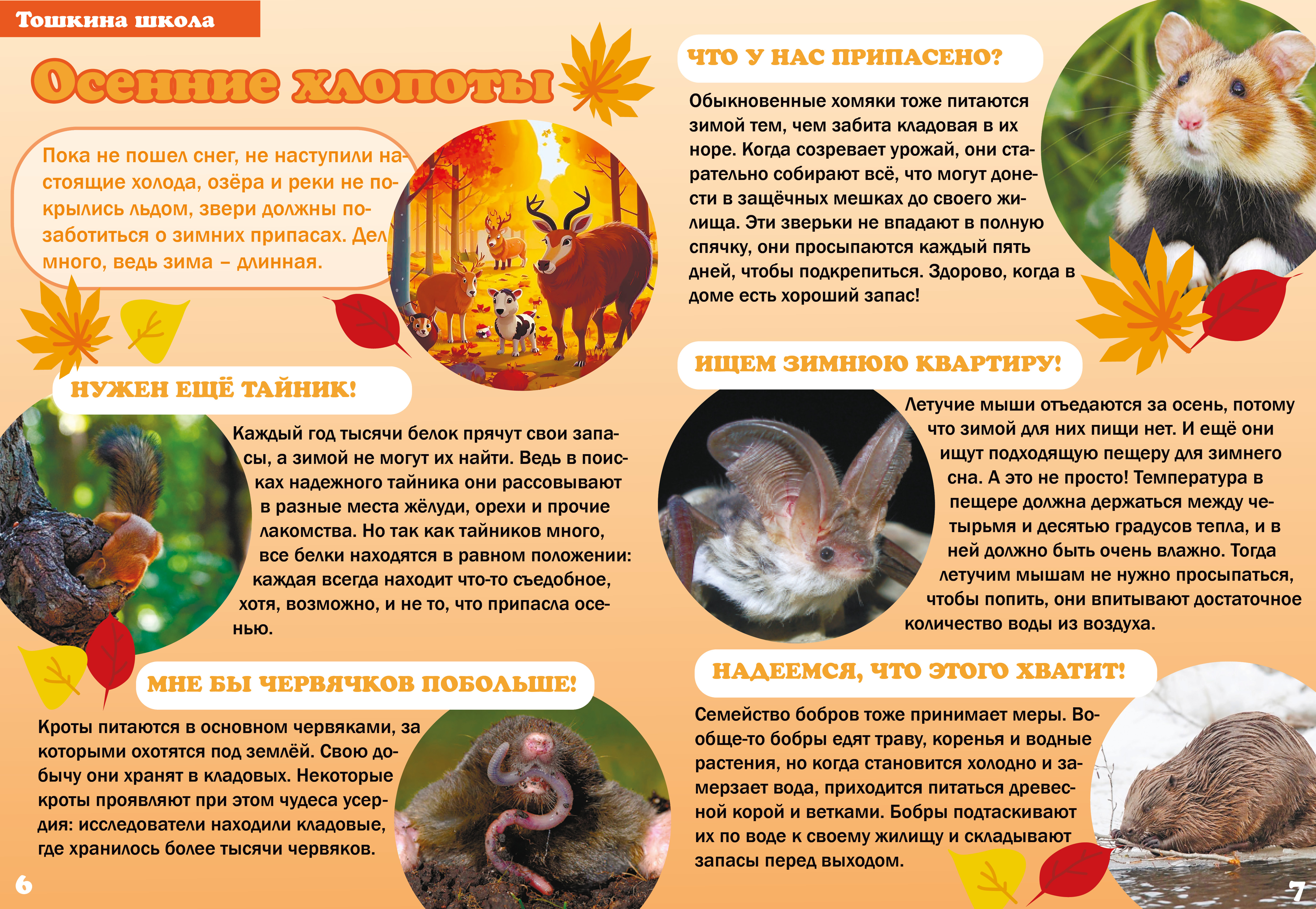 Ерохина_Детский_финал_25.11.2024.jpg