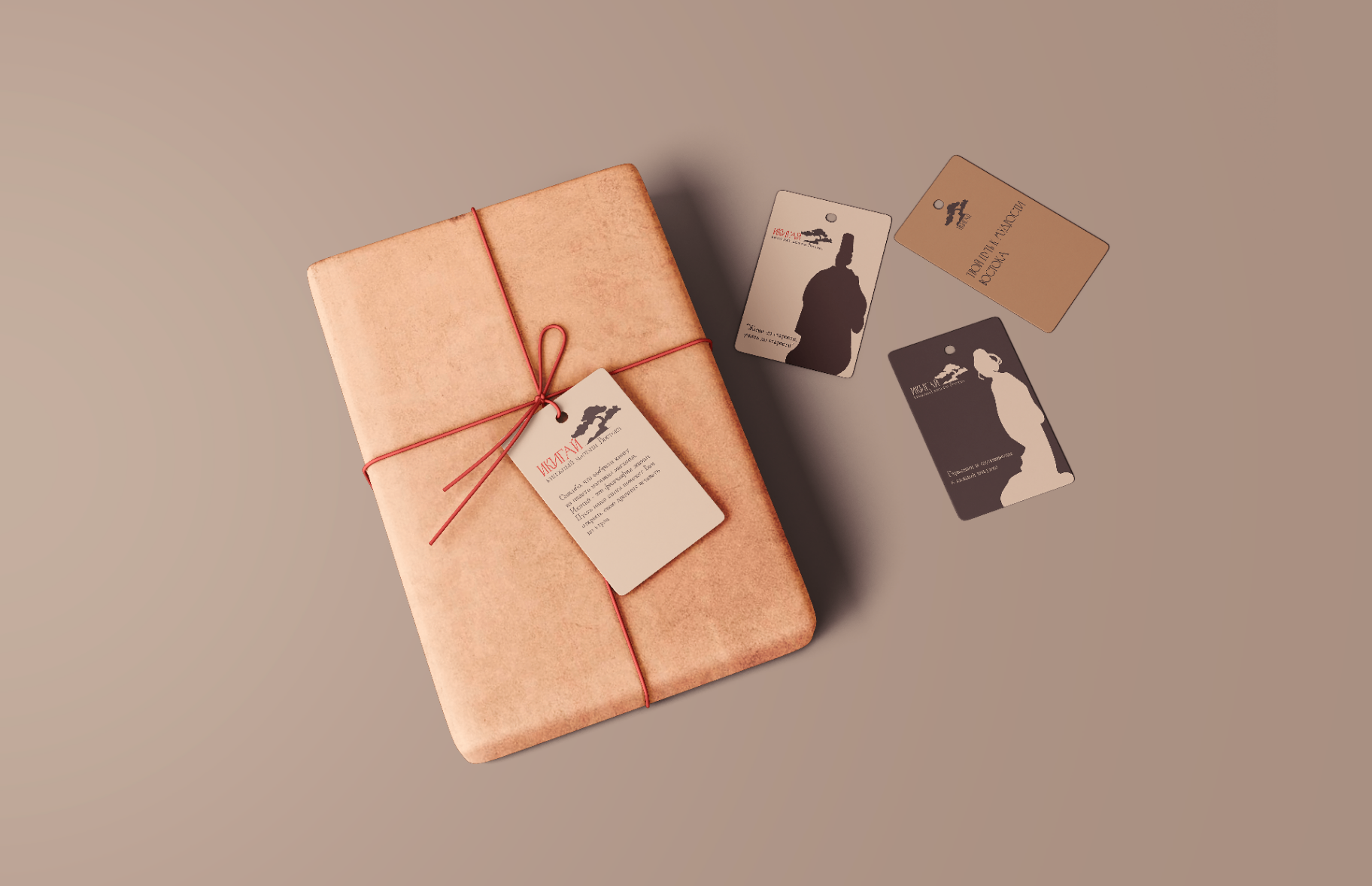 упаковка и вкладыши.png