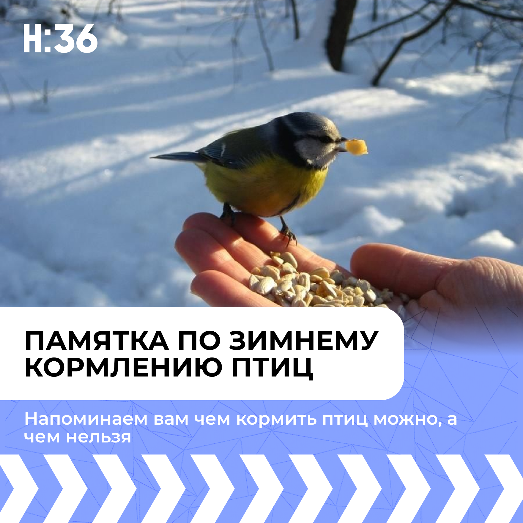 Frame 1120.png