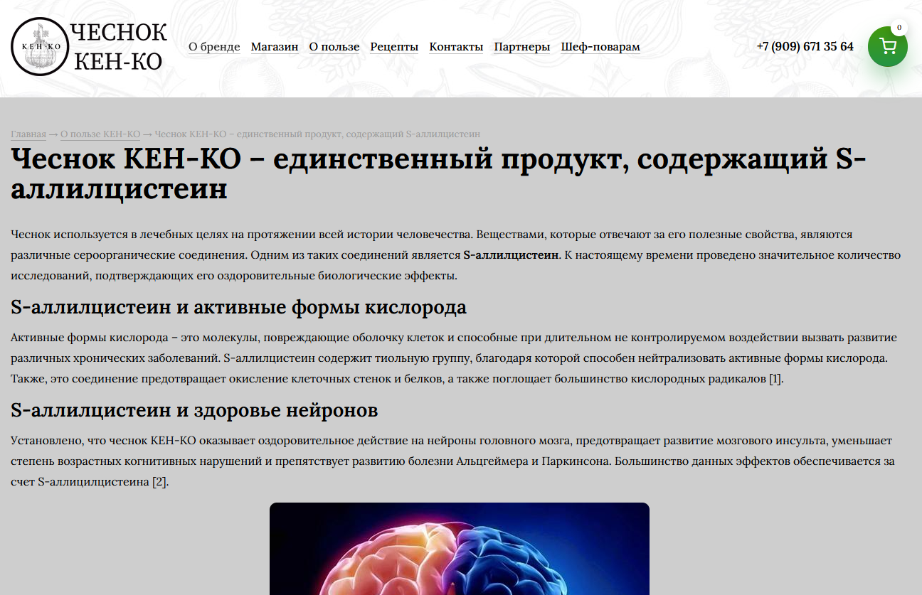 Цикл статей на сайт интернет-магазина