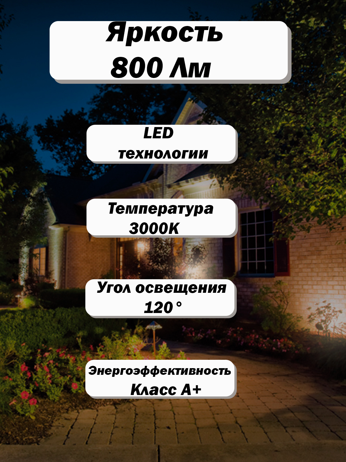 Лампа 3.jpg