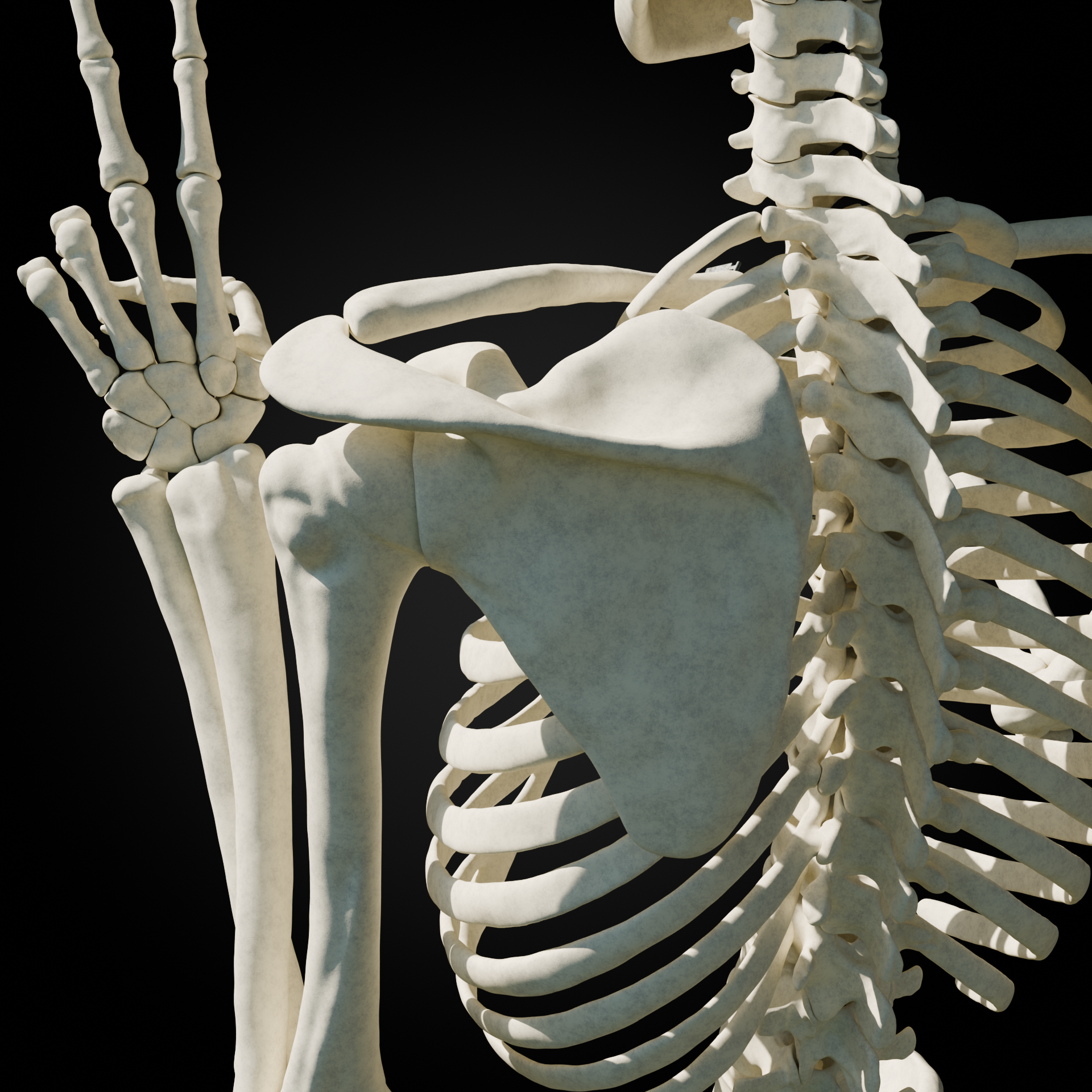 Back.png