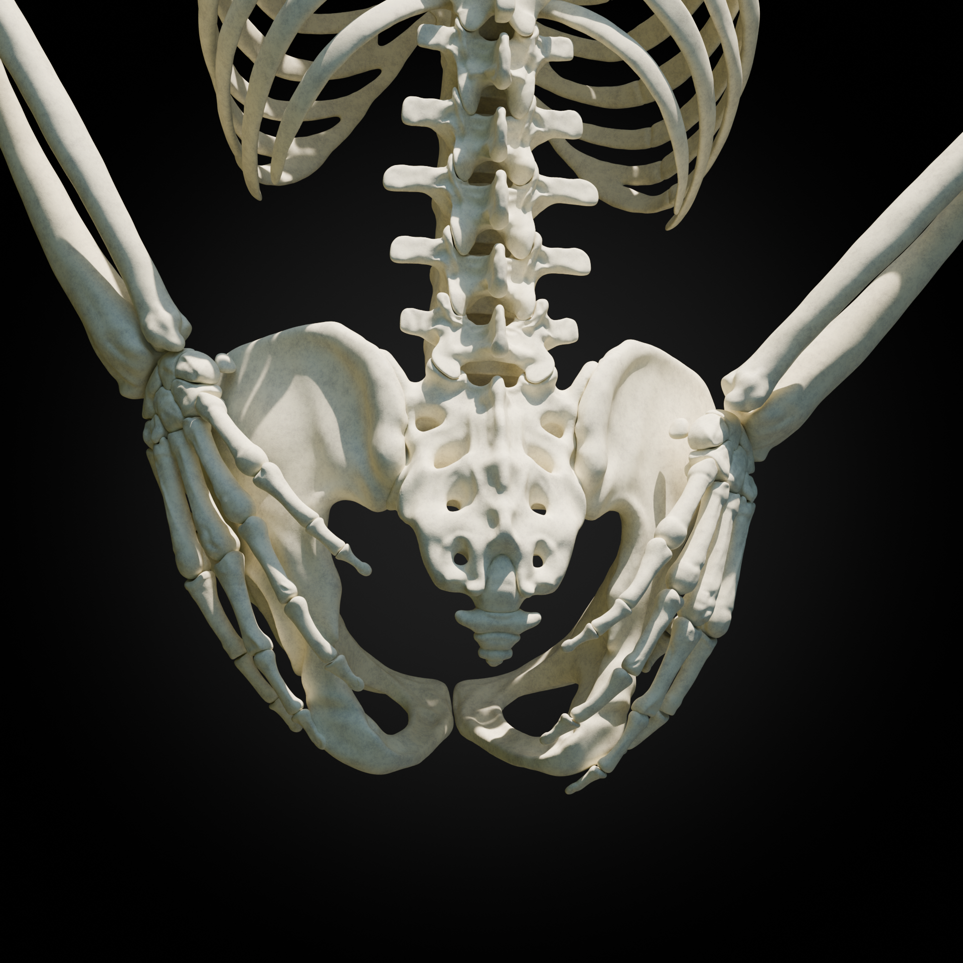 ASS.png
