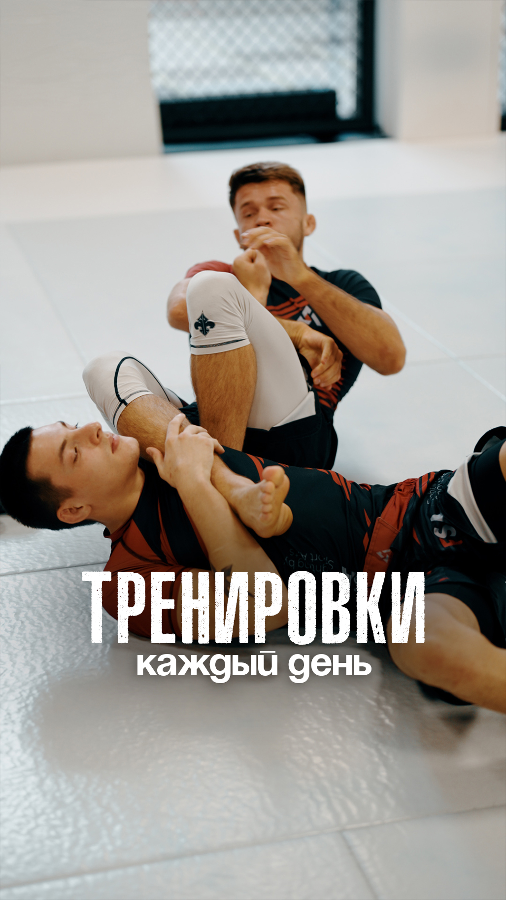 cover_15-1.jpg