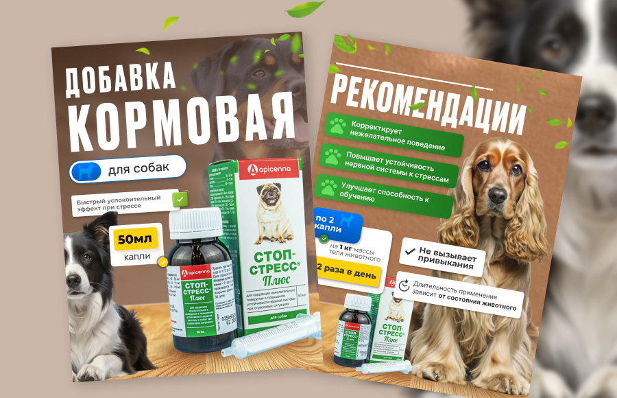 Frame 1410167821.png