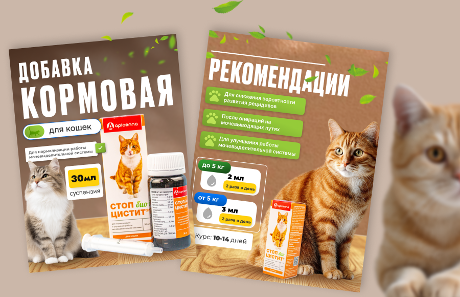 Frame 1410167822.png