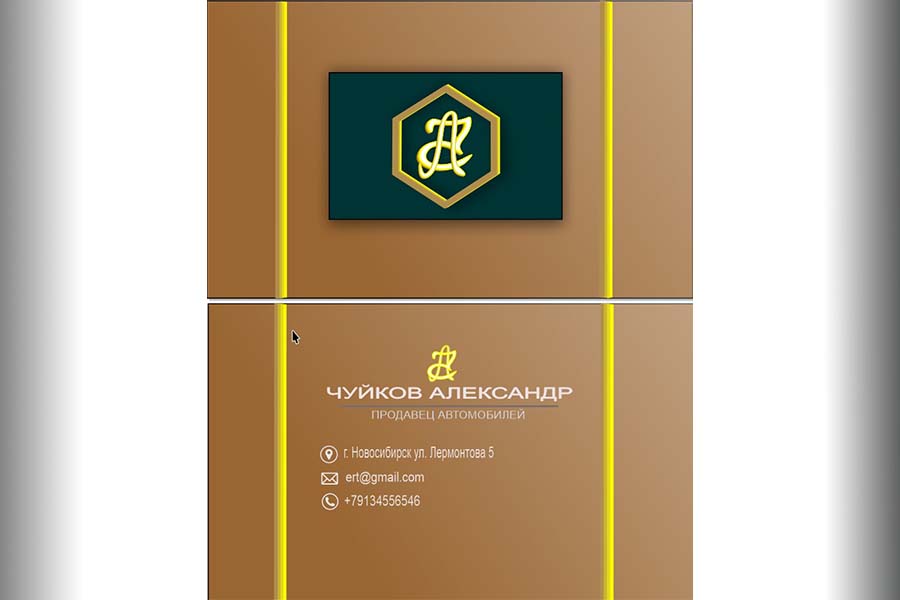 виз.jpg