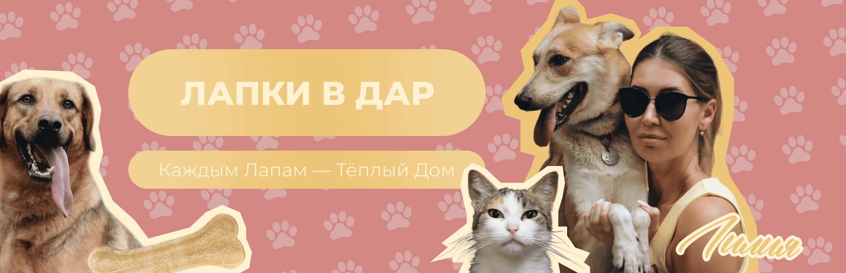 cats_dogs_sochi (дизайн группы вконтакте) 02 (02).png