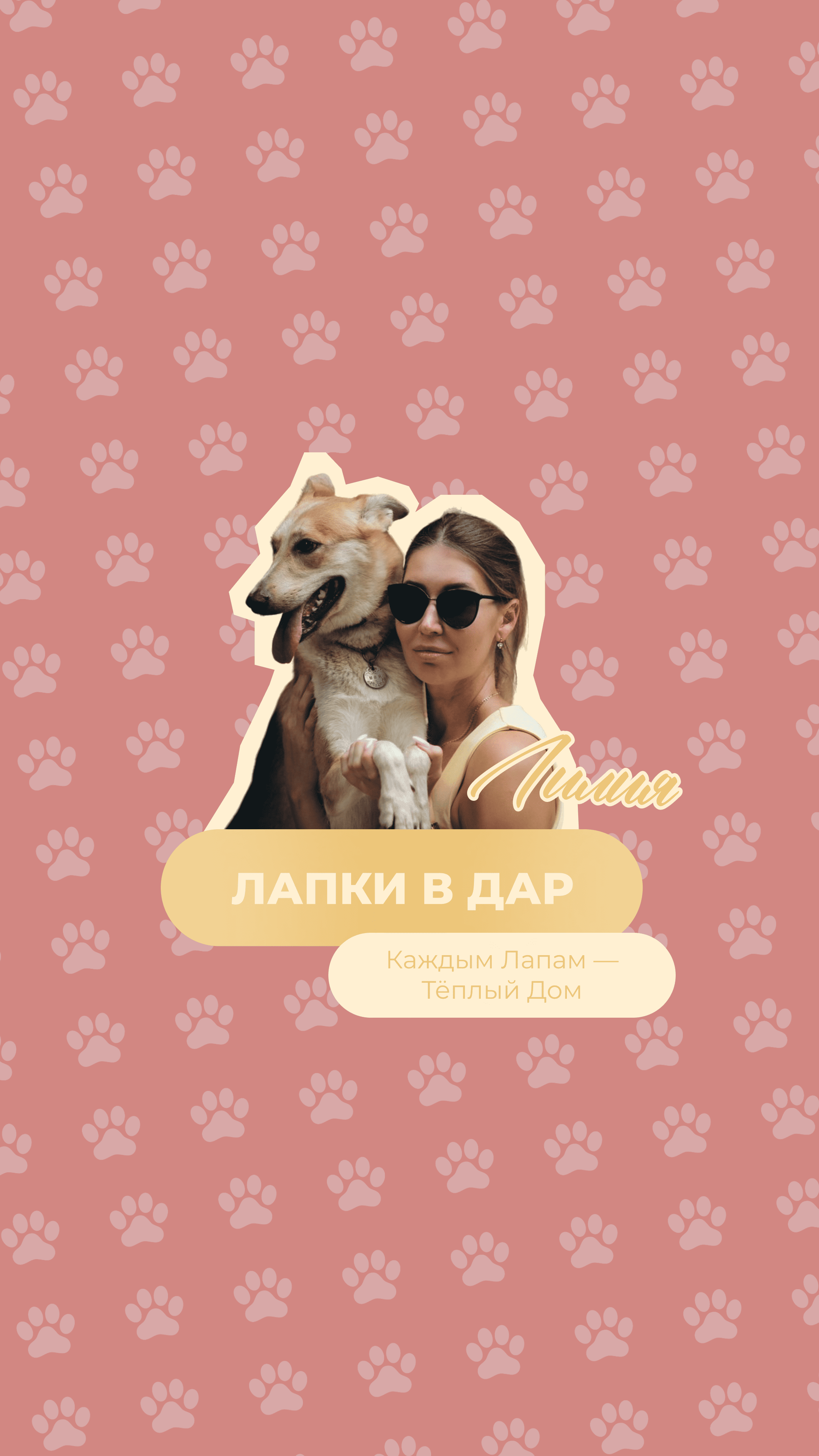 cats_dogs_sochi (дизайн группы вконтакте) 03 (02).png