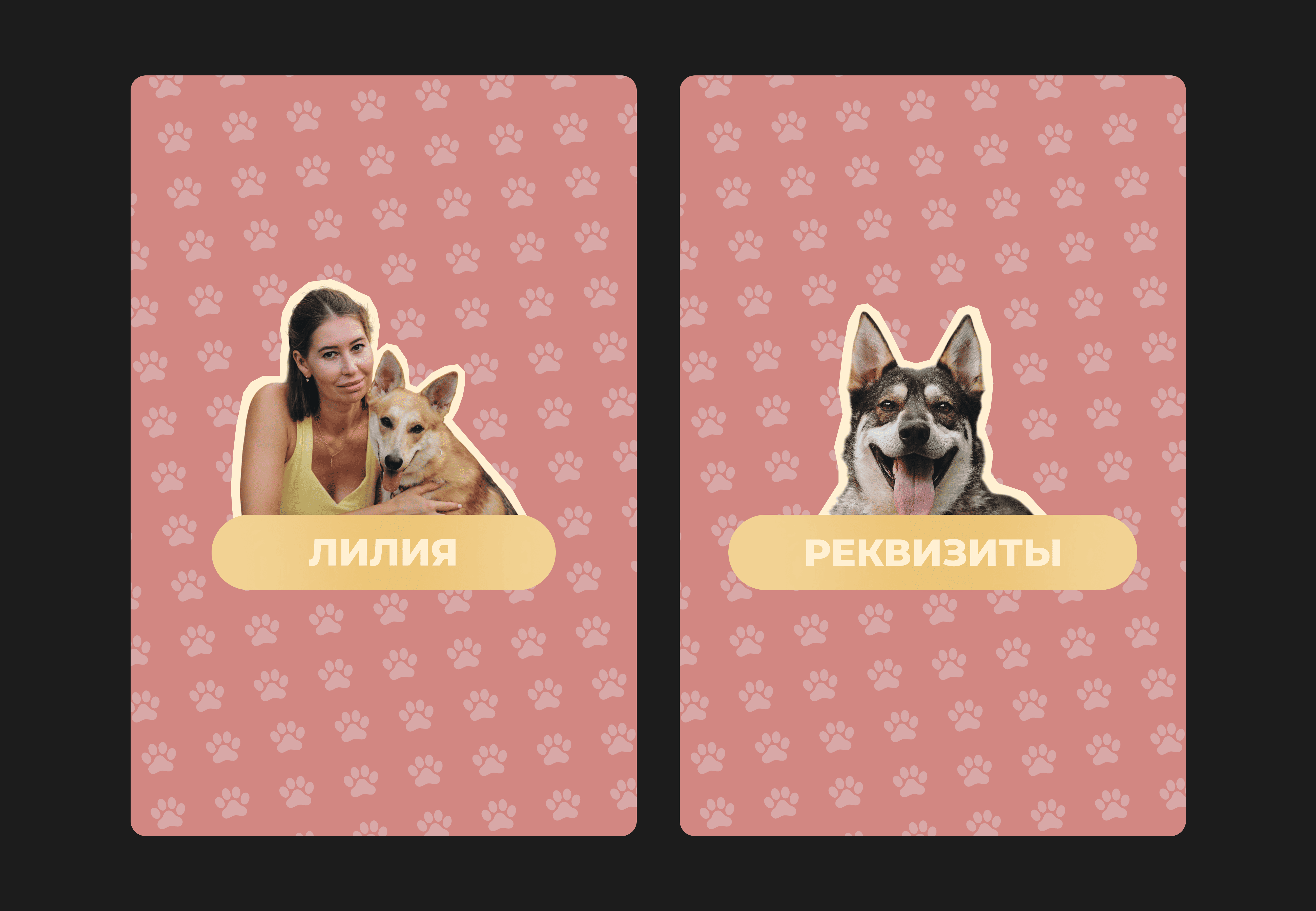 cats_dogs_sochi (дизайн группы вконтакте) 04 (02).png
