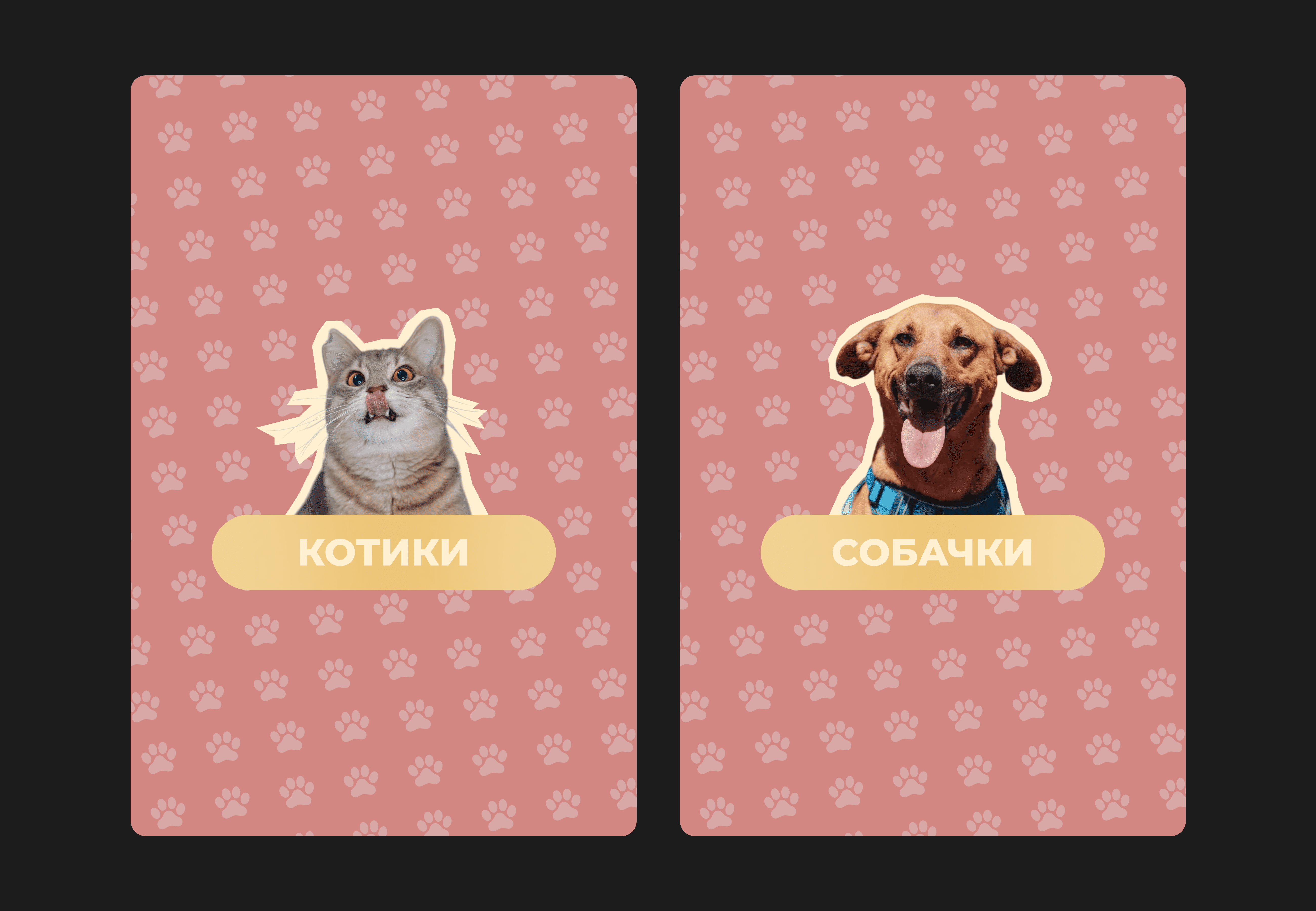 cats_dogs_sochi (дизайн группы вконтакте) 05 (02).png
