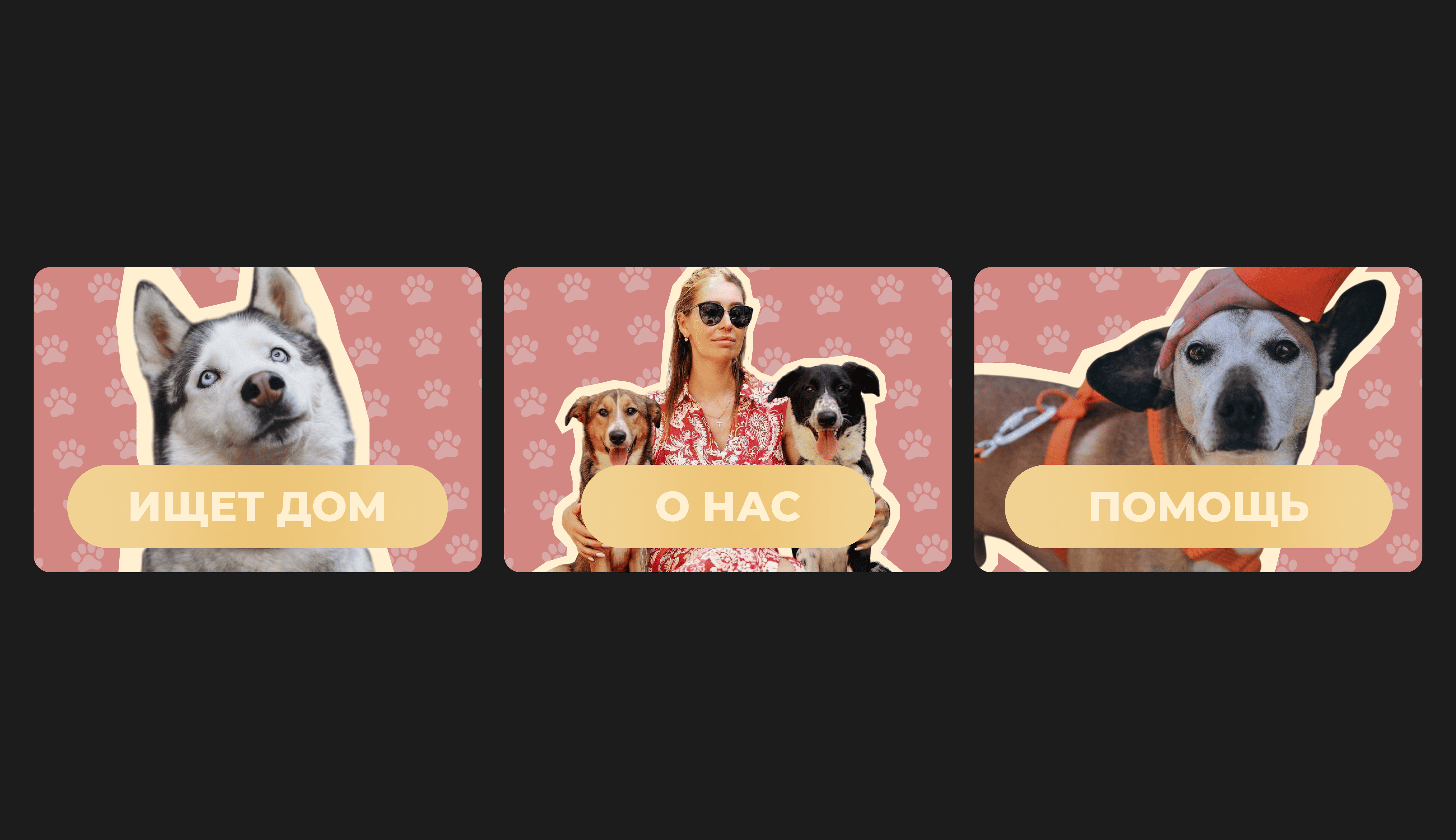 cats_dogs_sochi (дизайн группы вконтакте) 06 (02).png