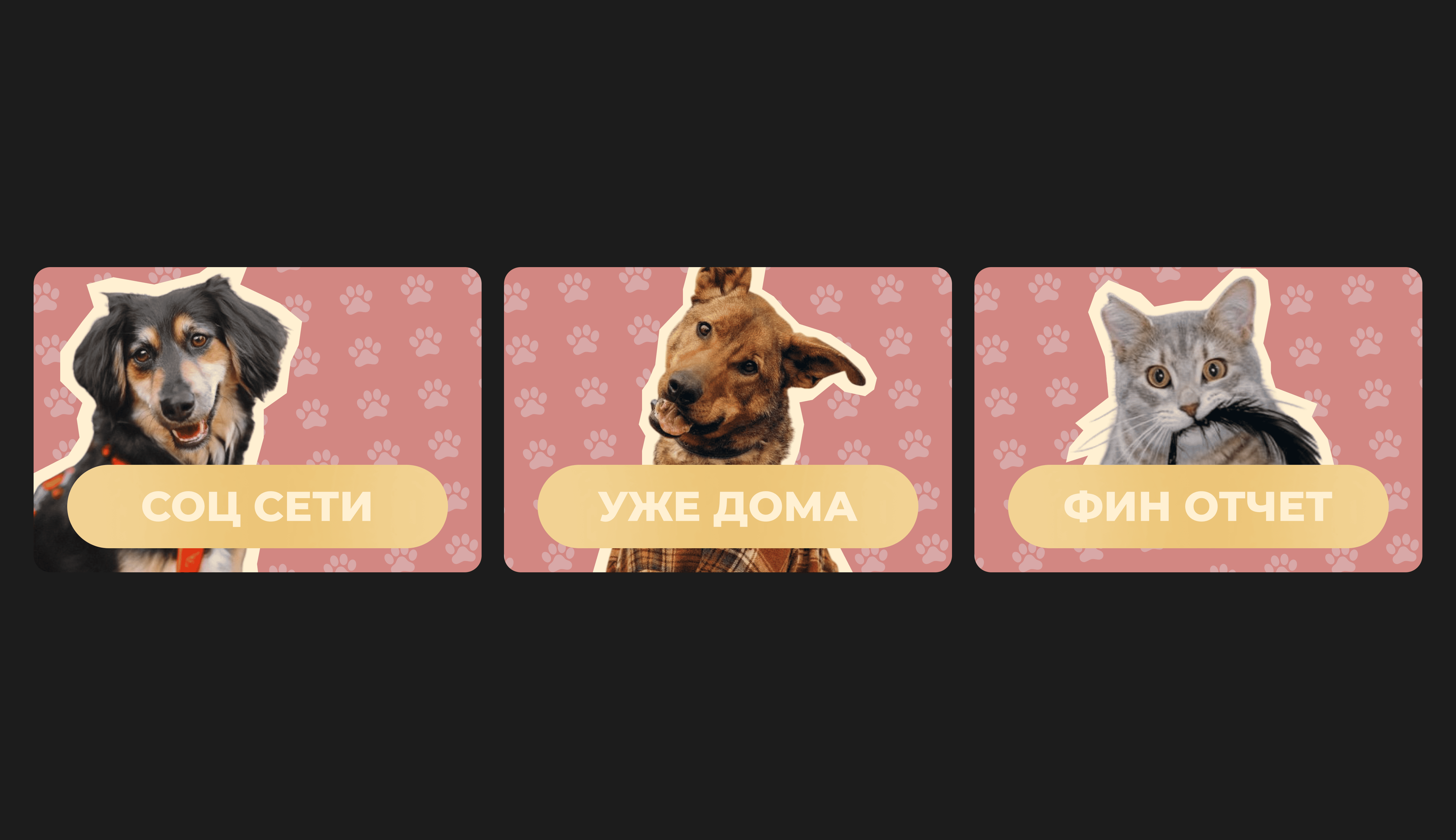 cats_dogs_sochi (дизайн группы вконтакте) 07 (02).png