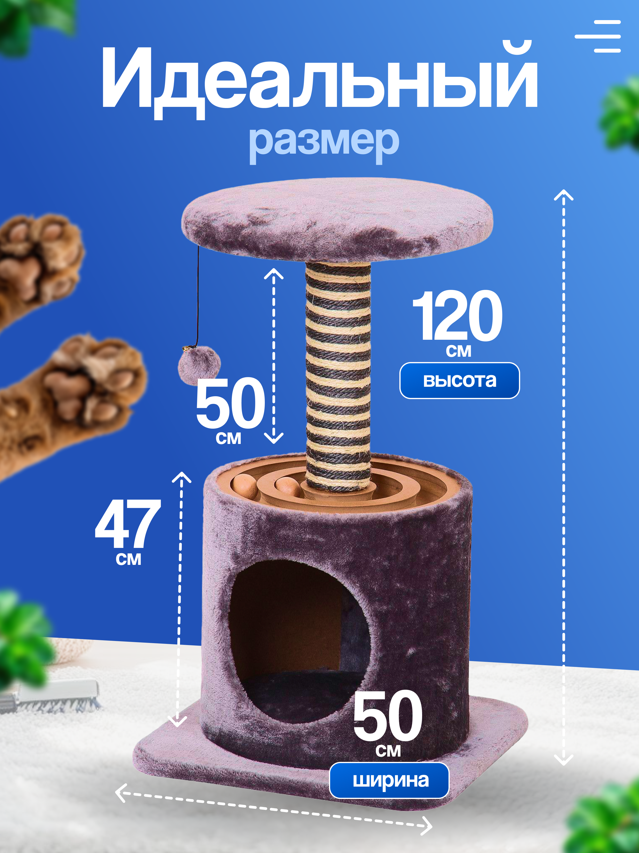 инфографика когтеточка 2.png