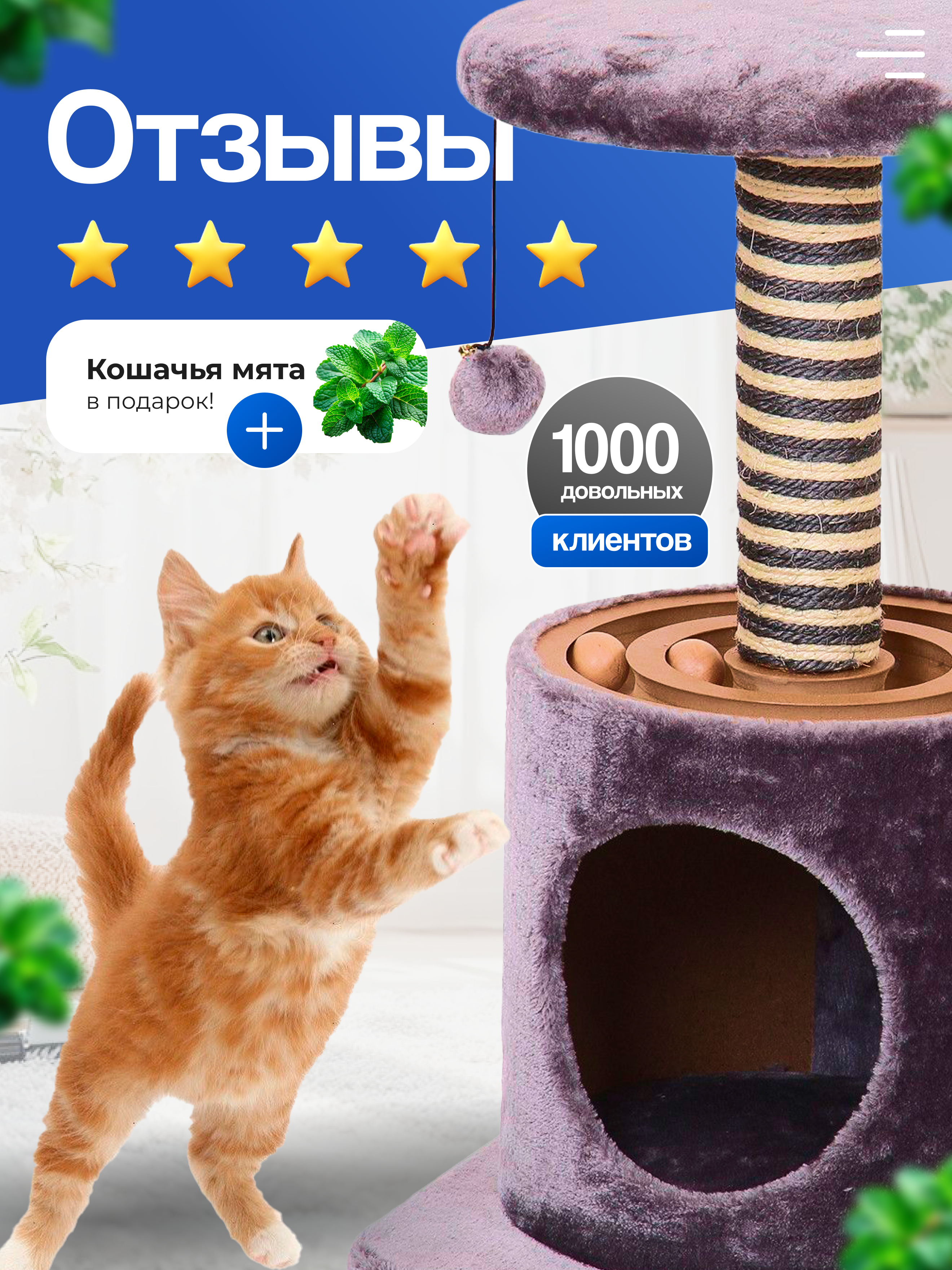 инфографика когтеточка 3.png