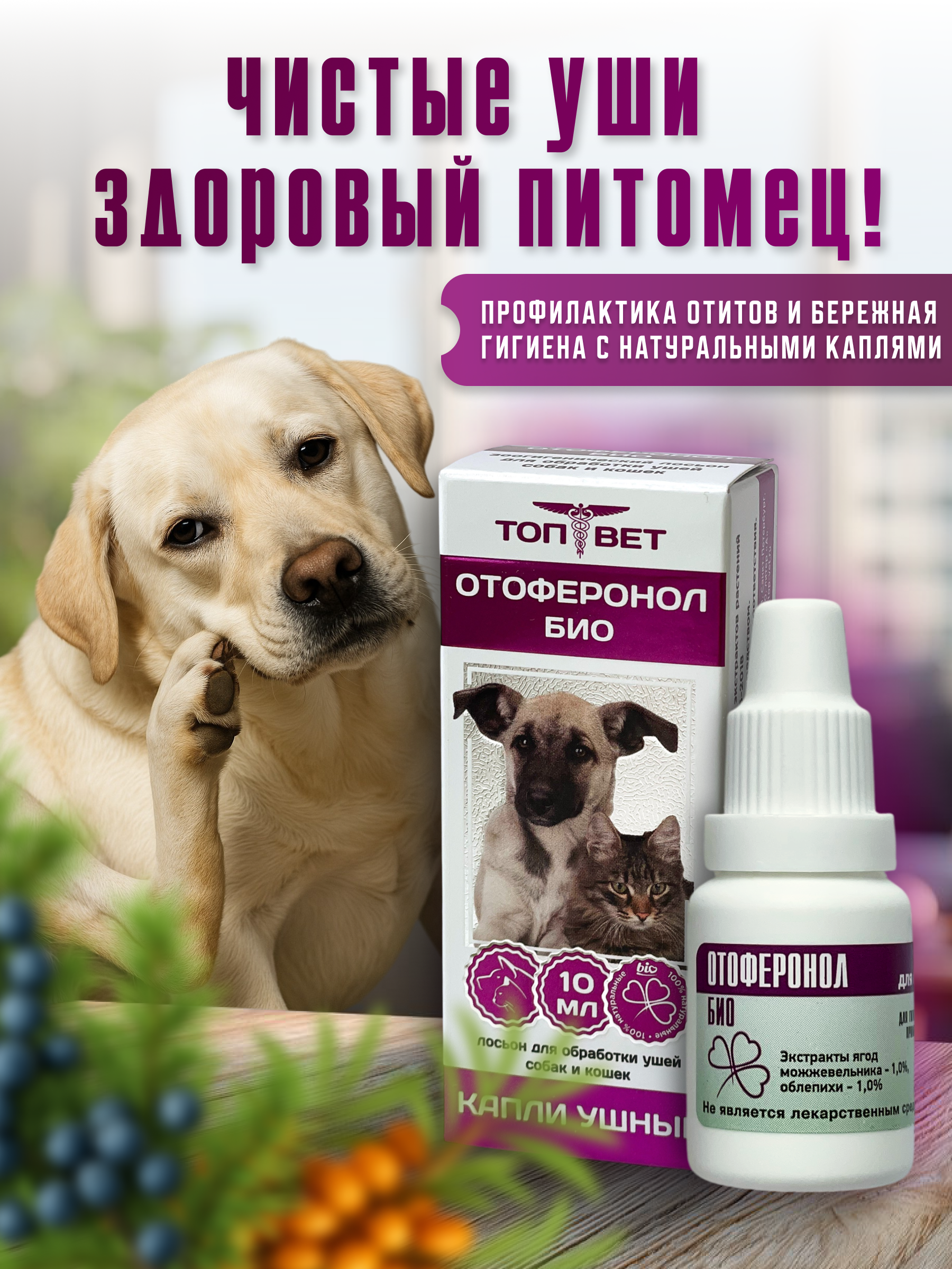 Слайд 1_ Титульный.png