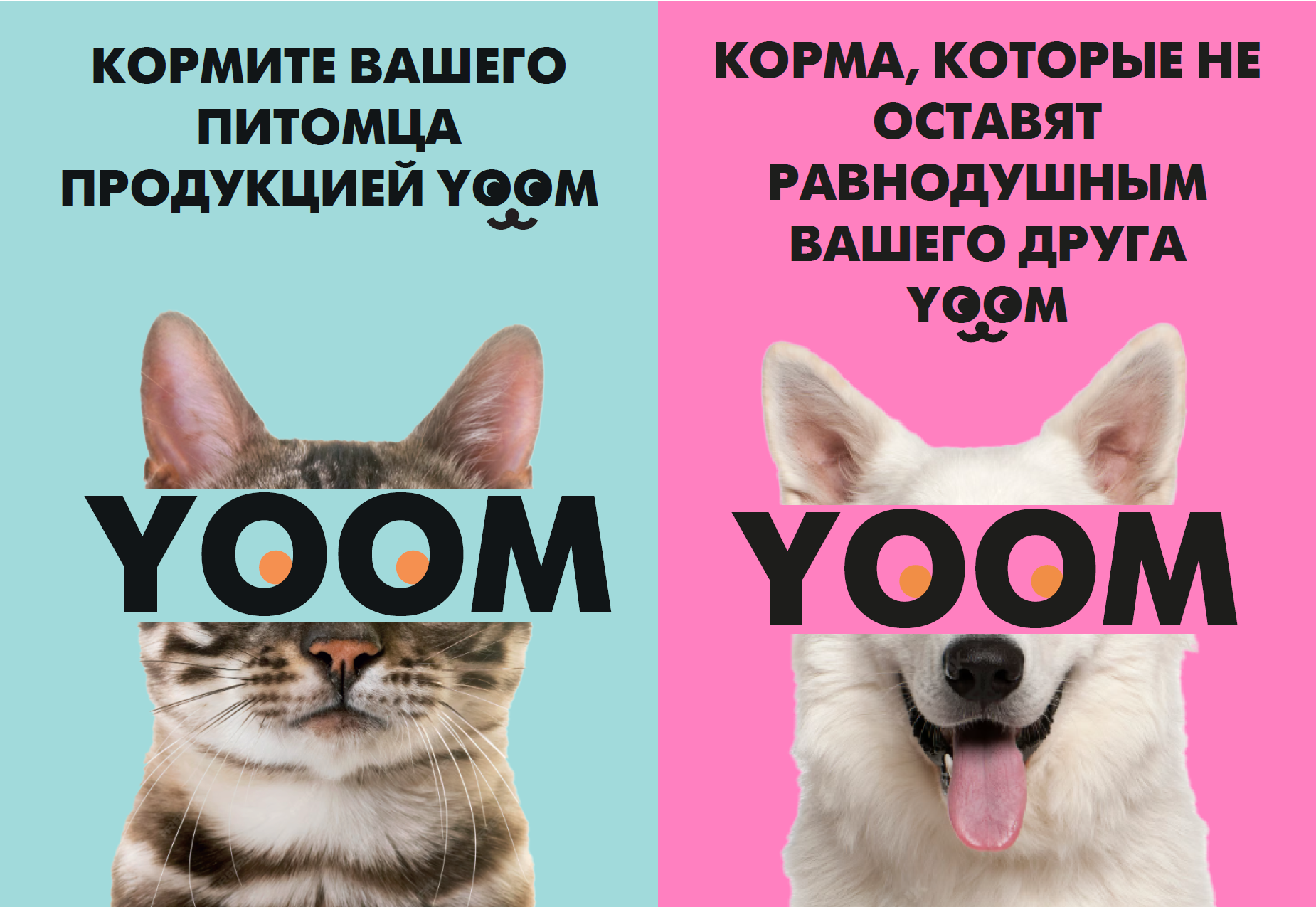 Снимок экрана 2025-09-08 190206.png