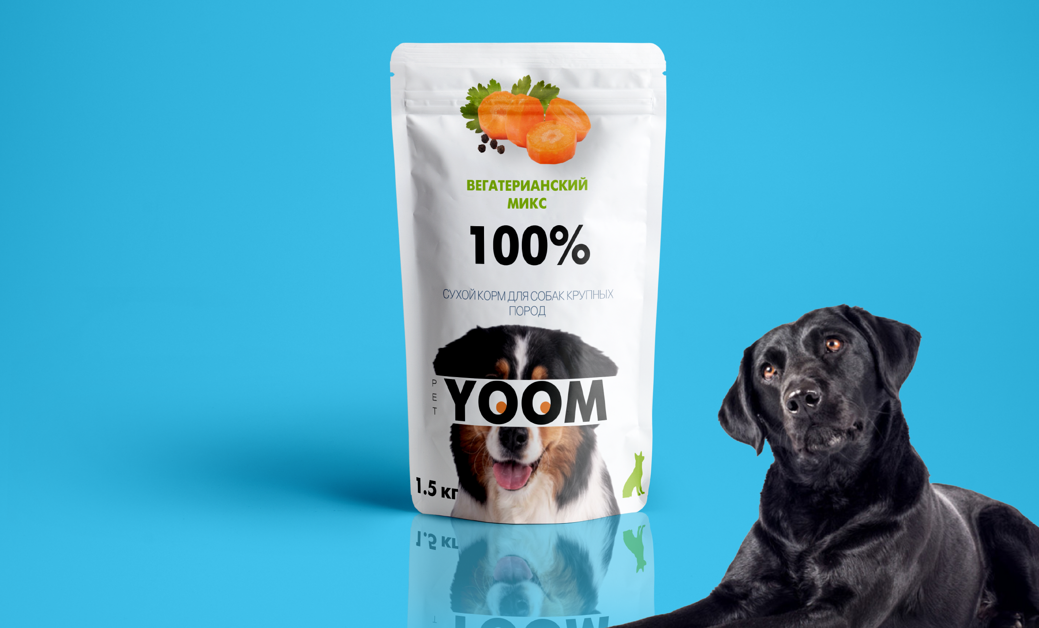 Снимок экрана 2025-09-08 190510.png