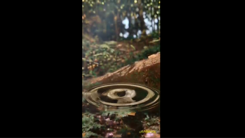 Заказ - сделать ролик о бренности бытия и что всё перерождается.