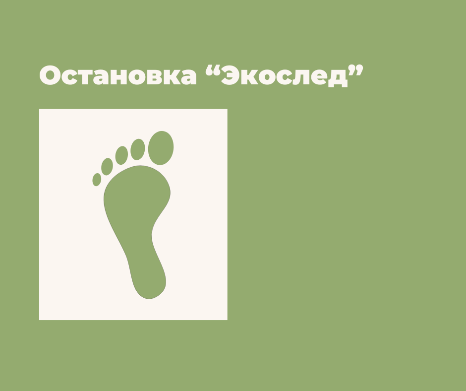 Разработка дизайна и концепции автобусной остановки для повышения осведомленности жителей об экологической обстановке