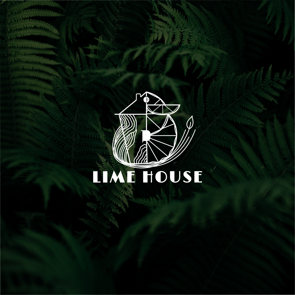 Логотип для эко домов LIME HOUSE