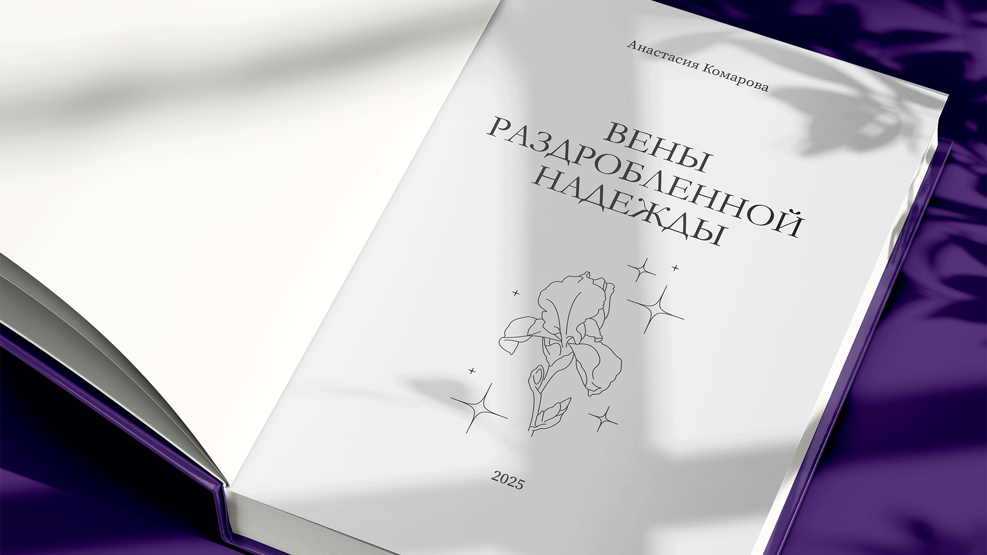 Концепция фентезийной книги «Вены раздробленной надежды»