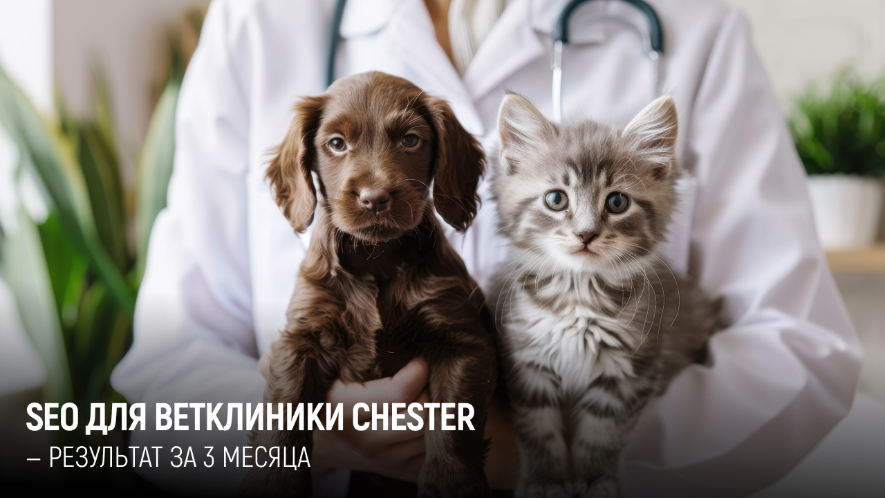 SEO для ветклиники Chester.jpg