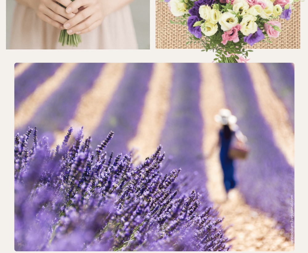 Frame DU (1) (1) (1) 33.png