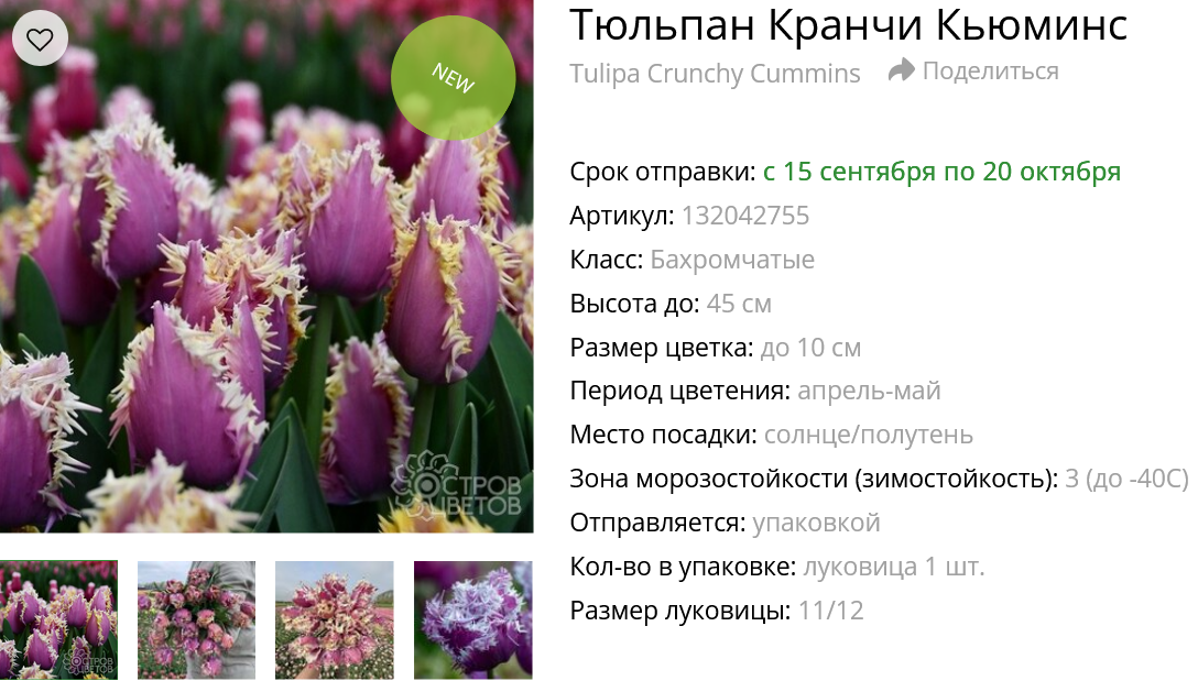 Описание карточек товаров для сайта "Остров цветов", 1000 карточек товаров.