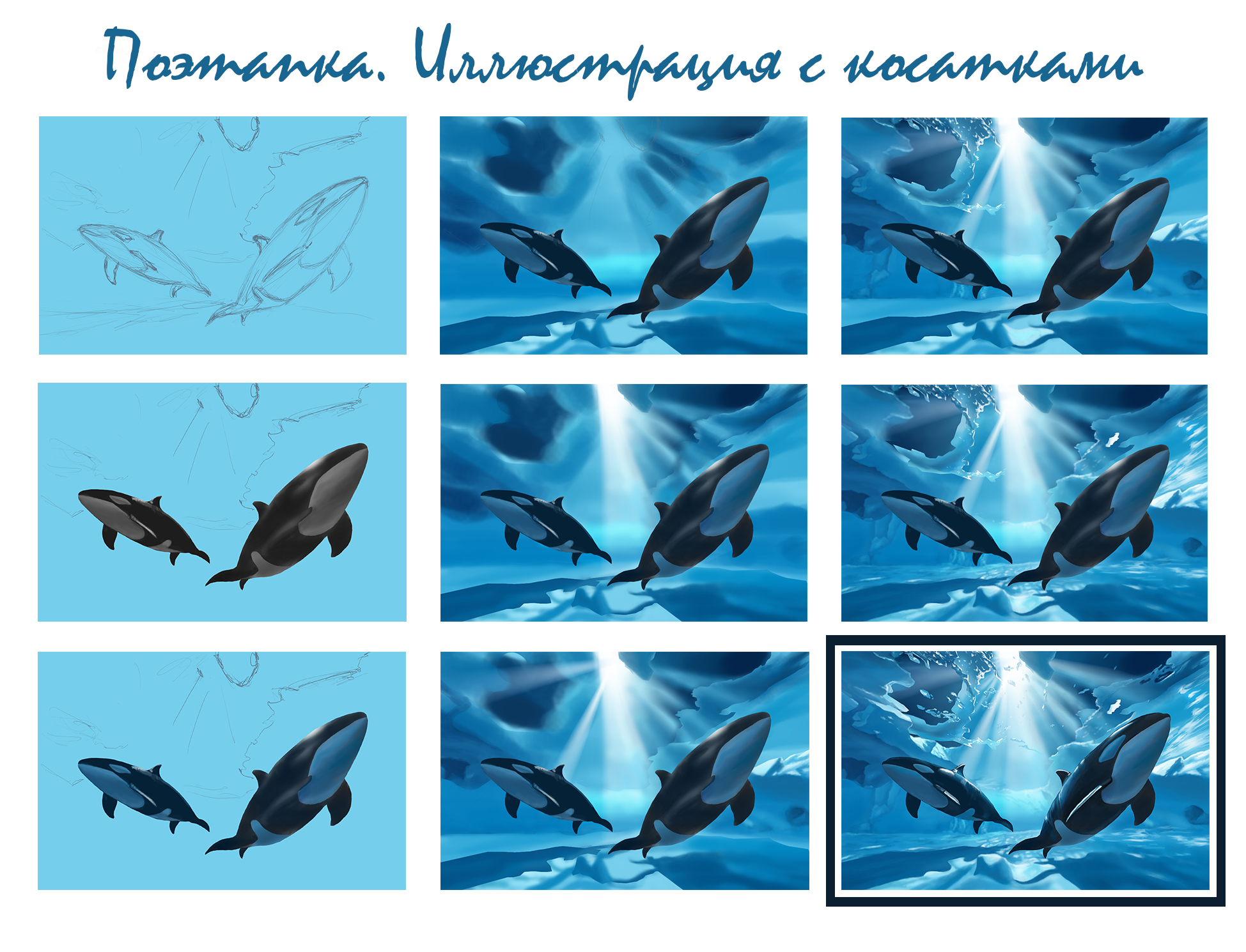 Косатки_поэтапка.jpg