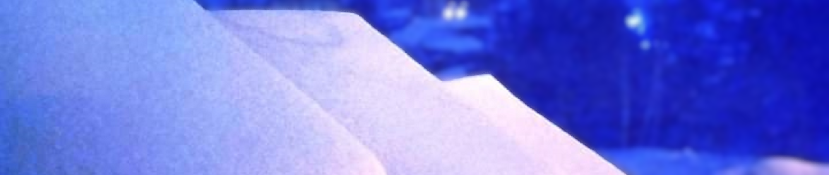 2832x600 ozon.png