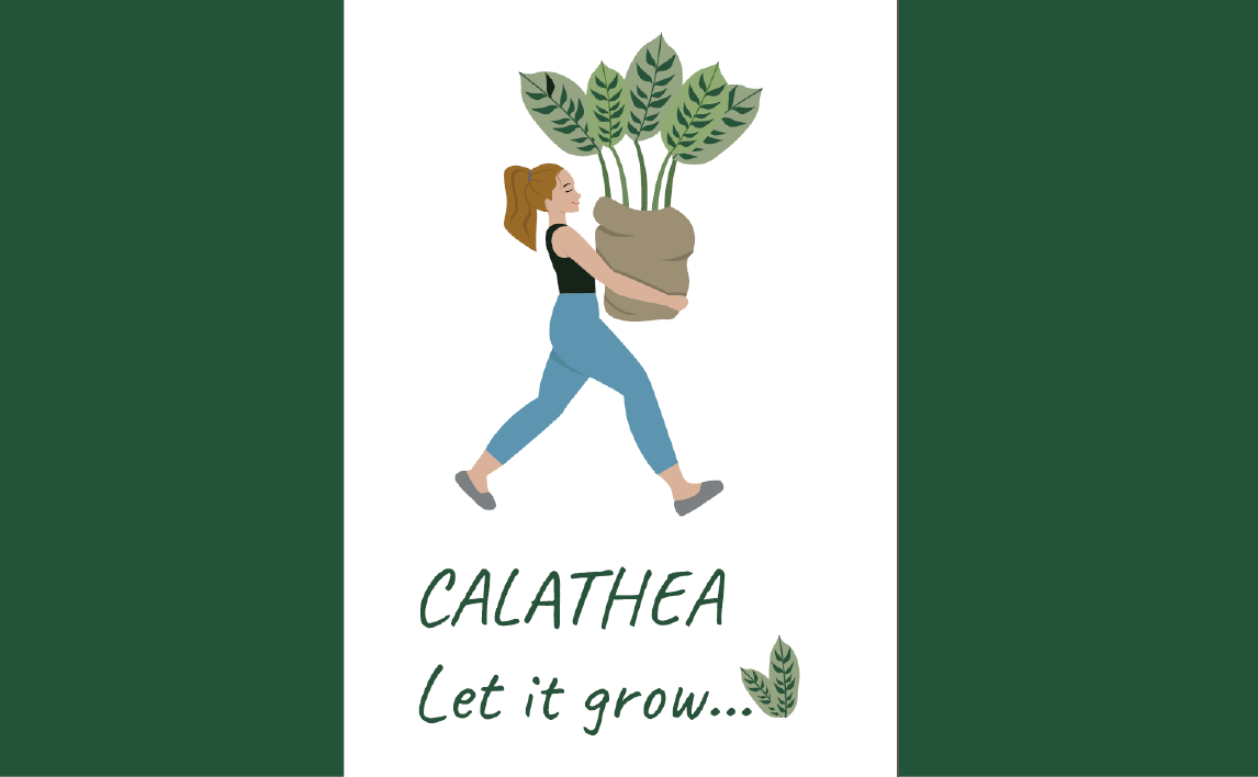 Иллюстративная айдентика для магазина комнатных растений "Calathea"