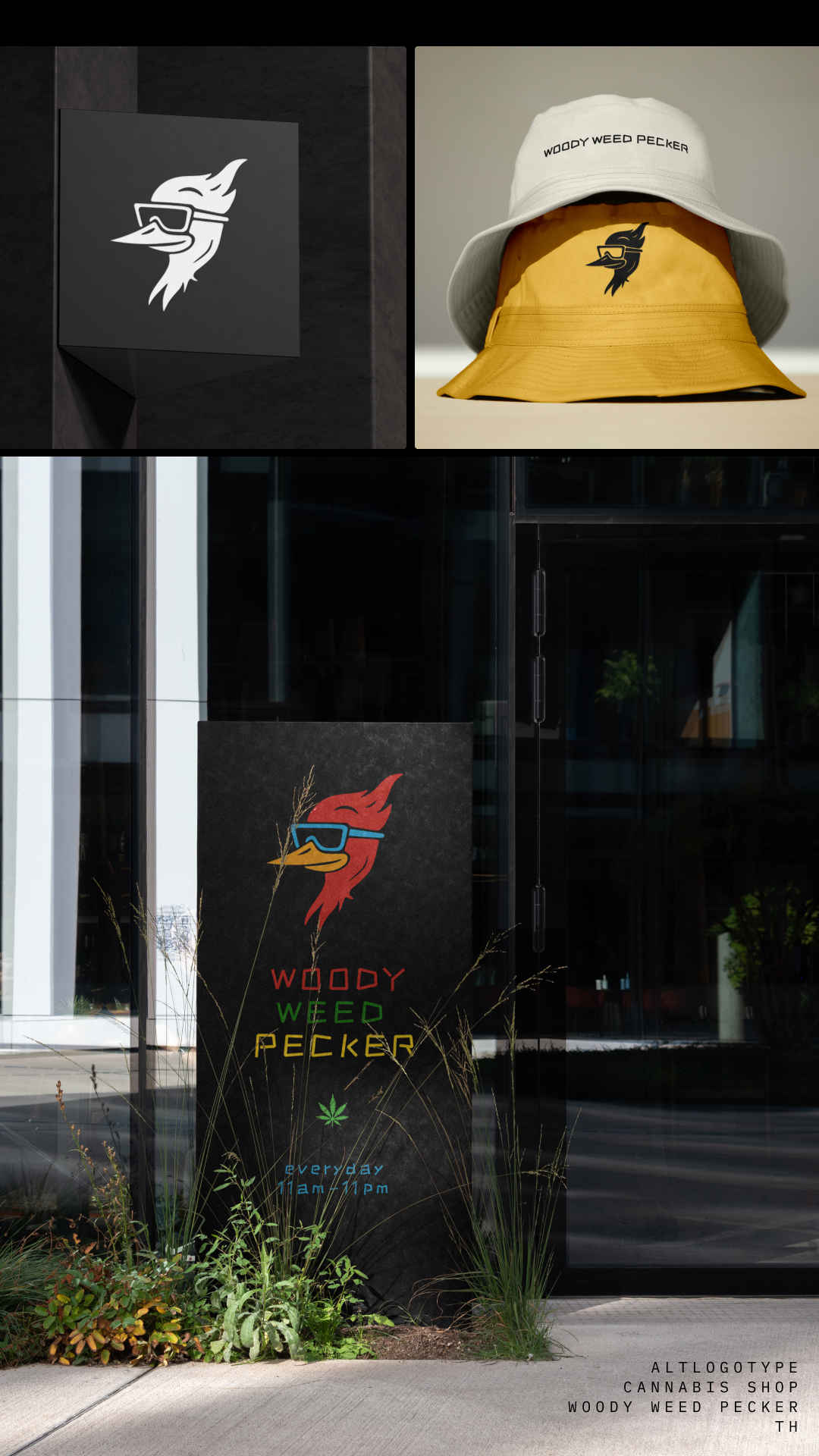 WOODY FINAL SOTORIE.jpg