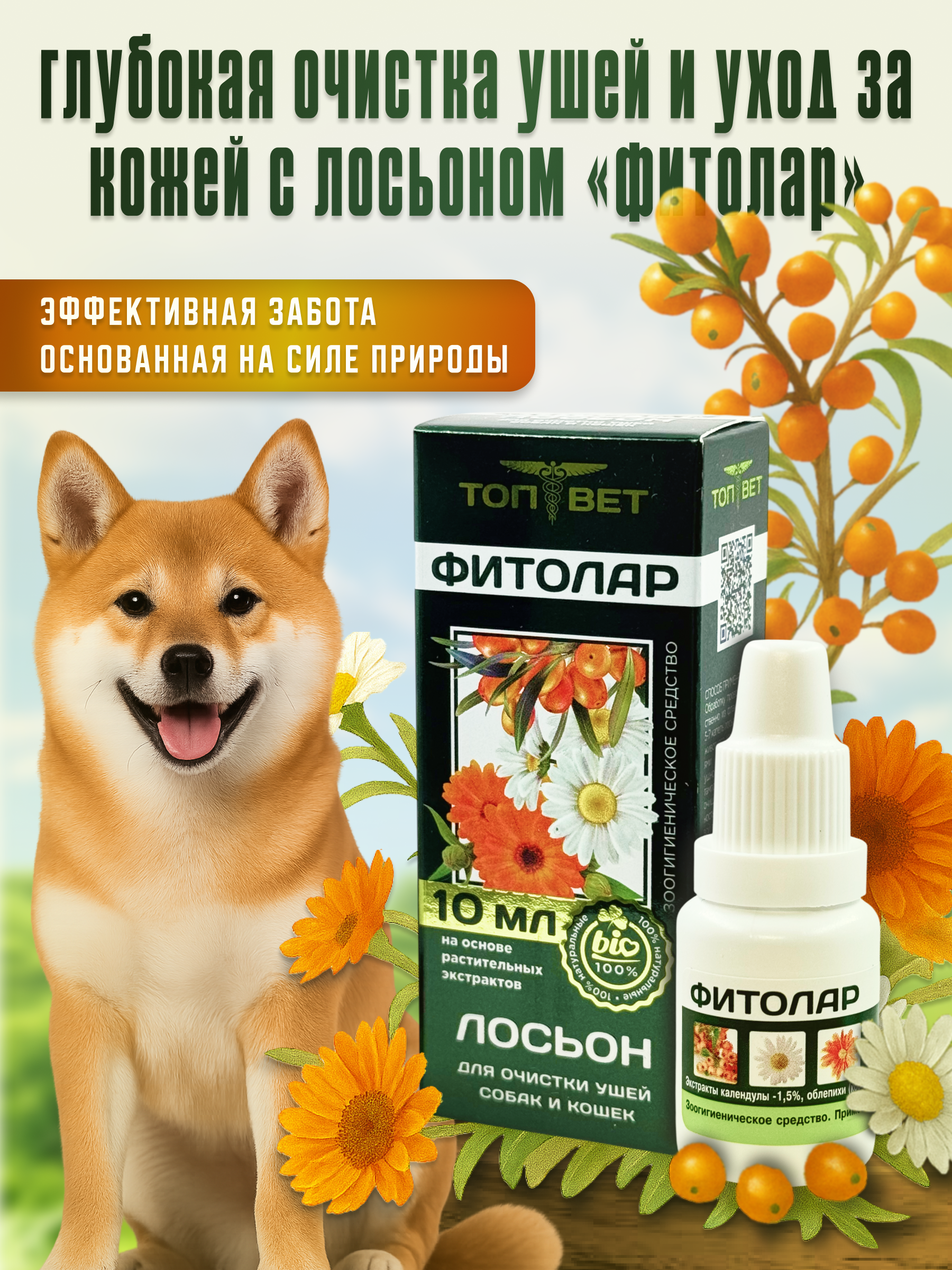 Слайд 1_ Титульный.png