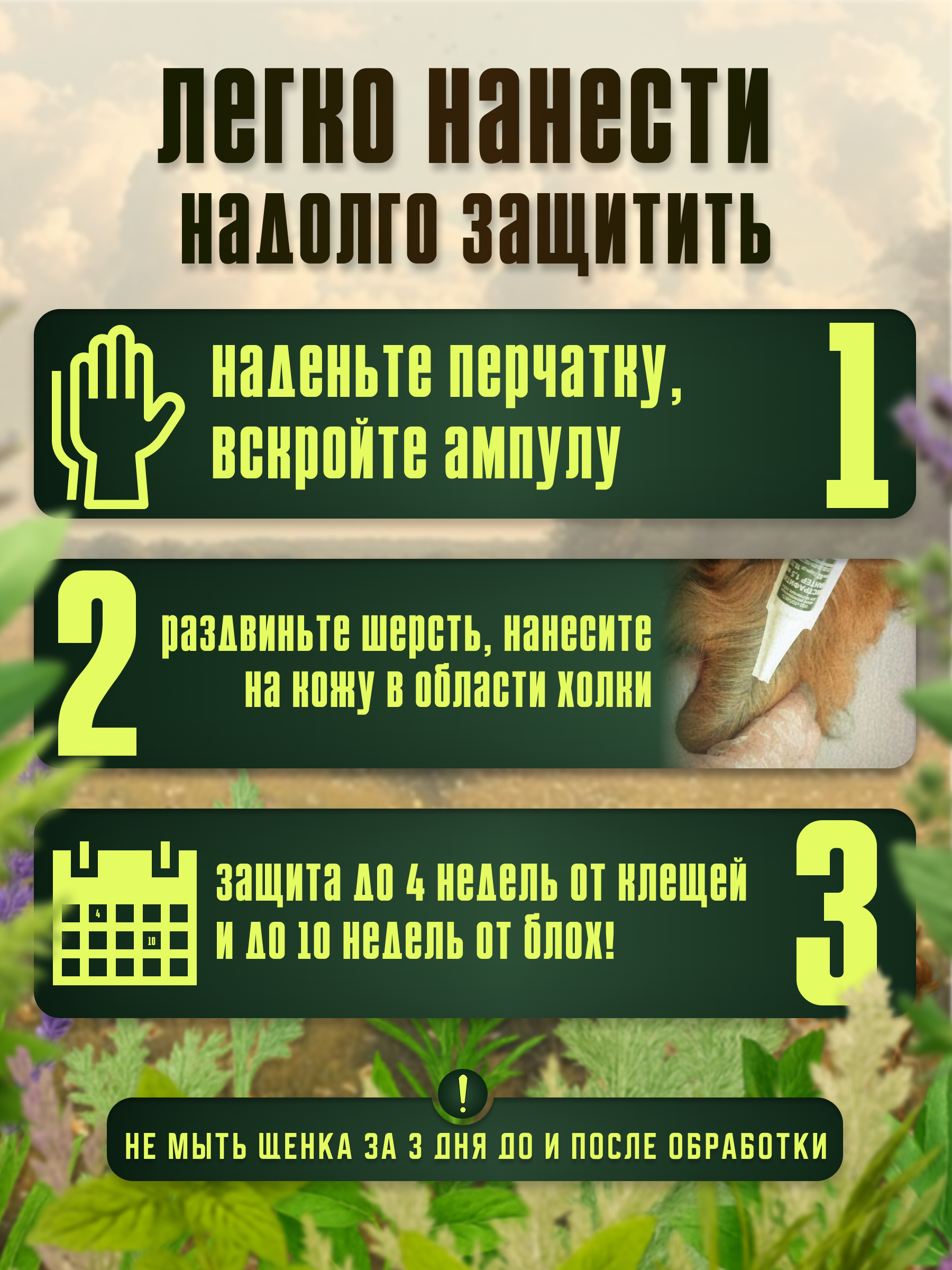 СЛАЙД 4_ ИНСТРУКЦИЯ ЗА 3 ШАГА.png