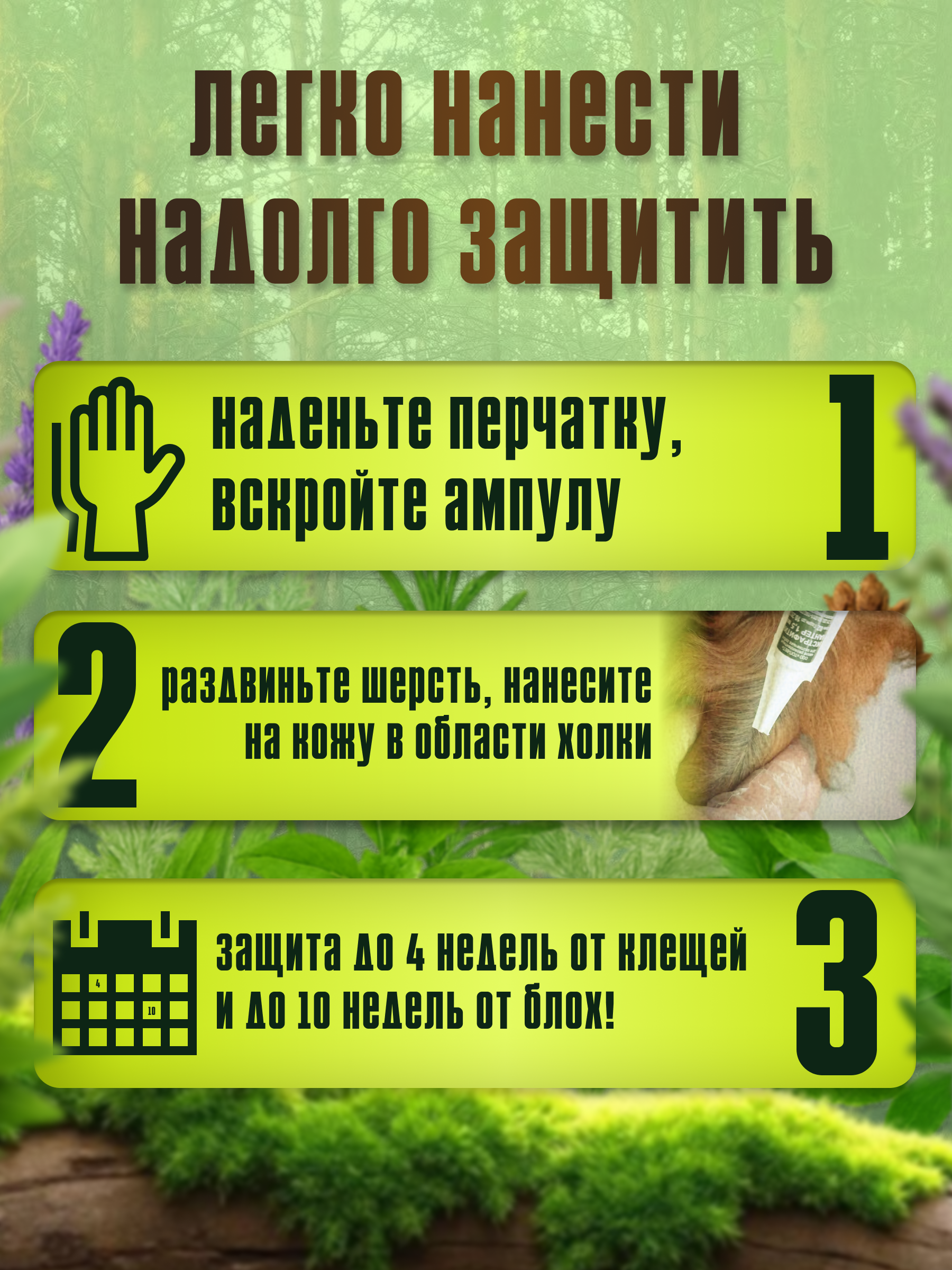 СЛАЙД 3_ ИНСТРУКЦИЯ ЗА 3 ШАГА.png