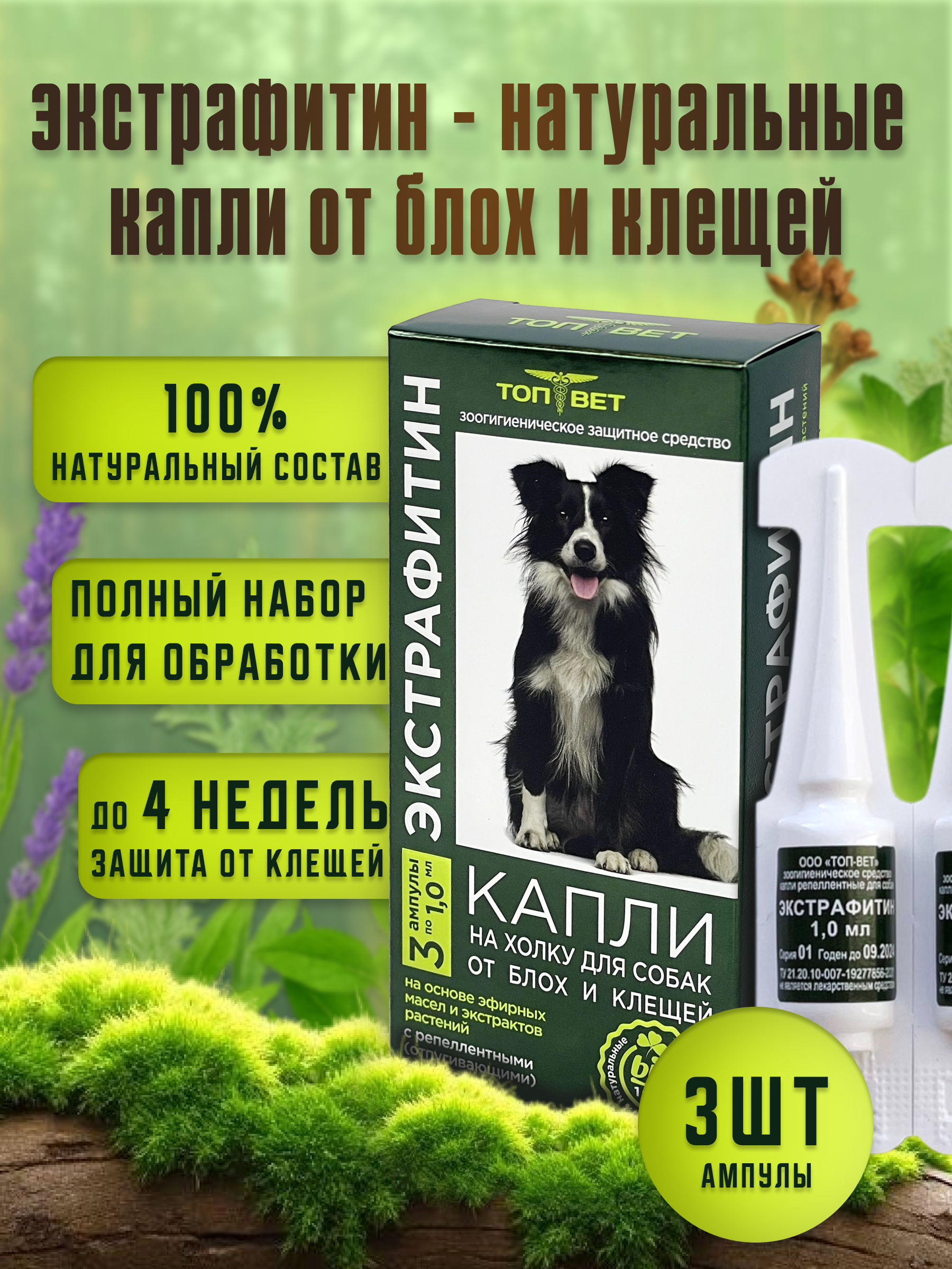 СЛАЙД 1_ ГЛАВНЫЙ ЭКРАН  ПРИРОДНАЯ ЗАЩИТА.png