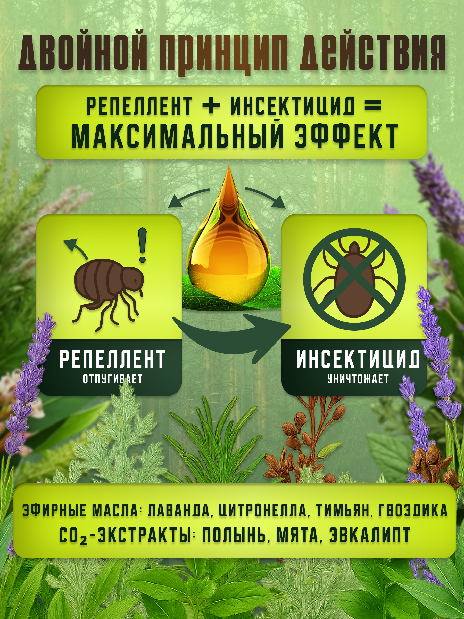 СЛАЙД 2_ ДВОЙНОЙ ПРИНЦИП ДЕЙСТВИЯ.png